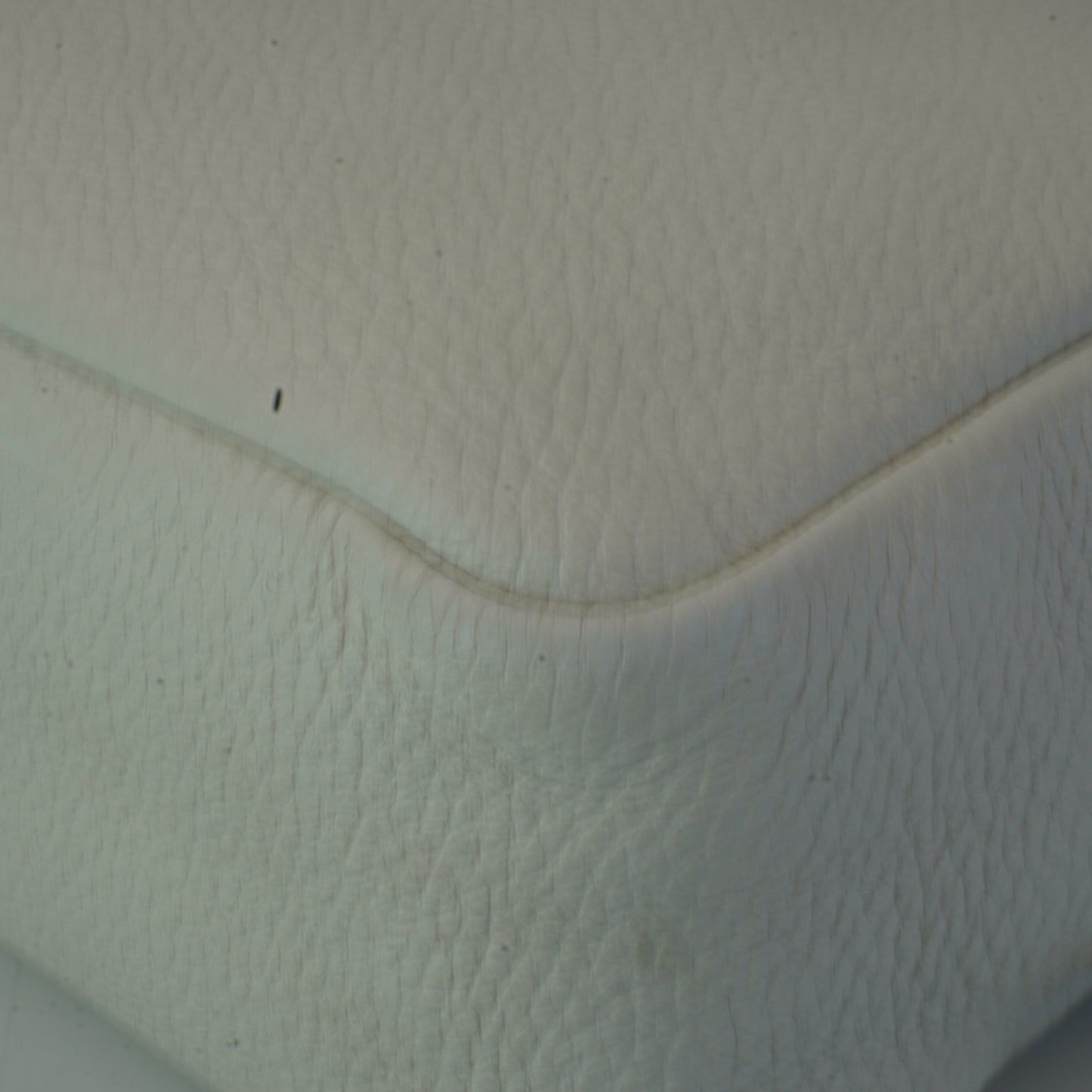 Prada Flou Leather Camera Bag
