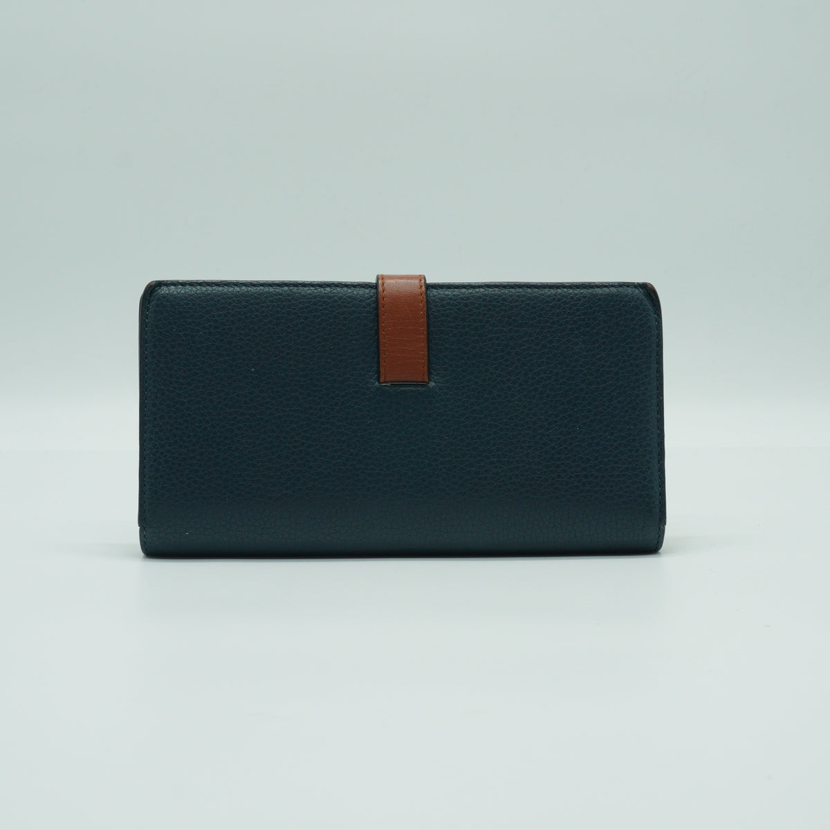 Loewe Large Vertical Calfskin Blue Wallet