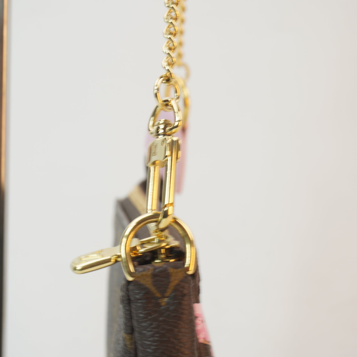 Louis Vuitton	Monogram Garden Mini Pochette