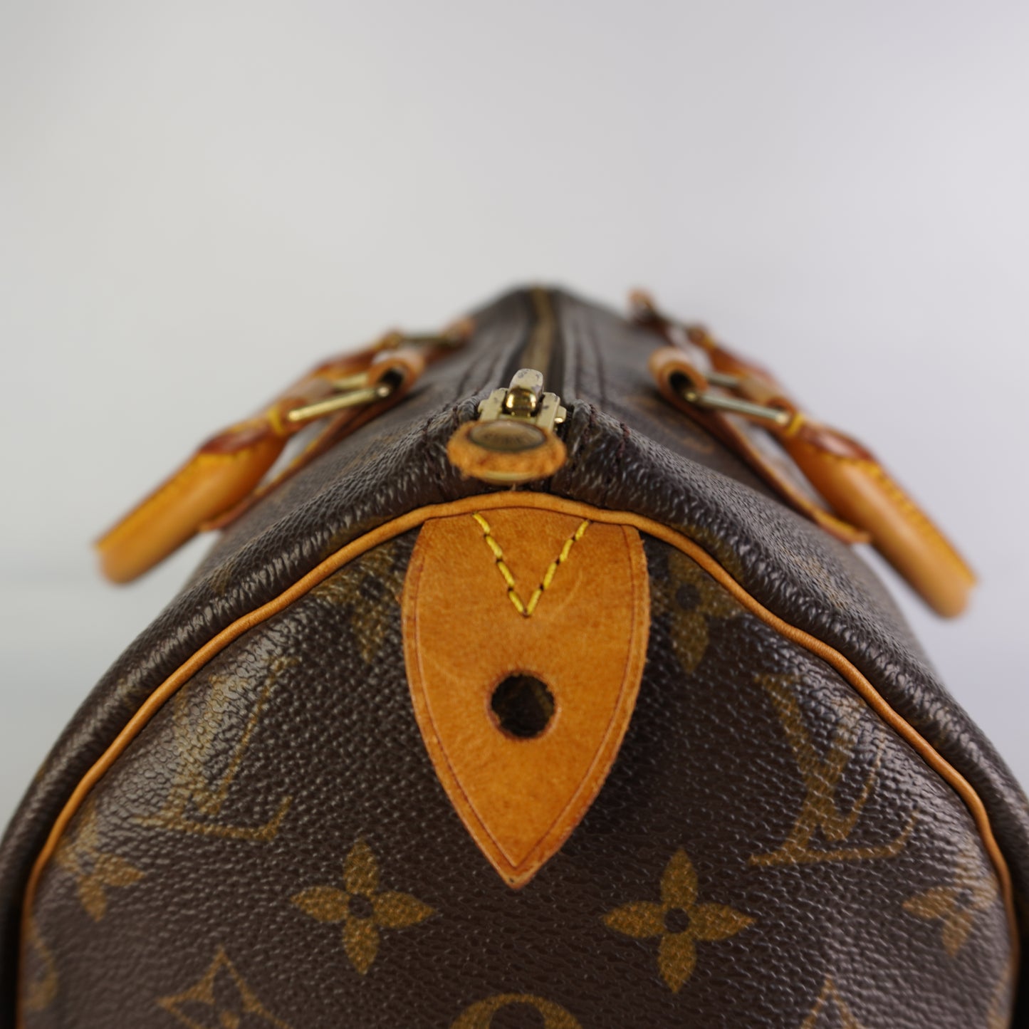 Louis Vuitton	Speedy 30 Mono