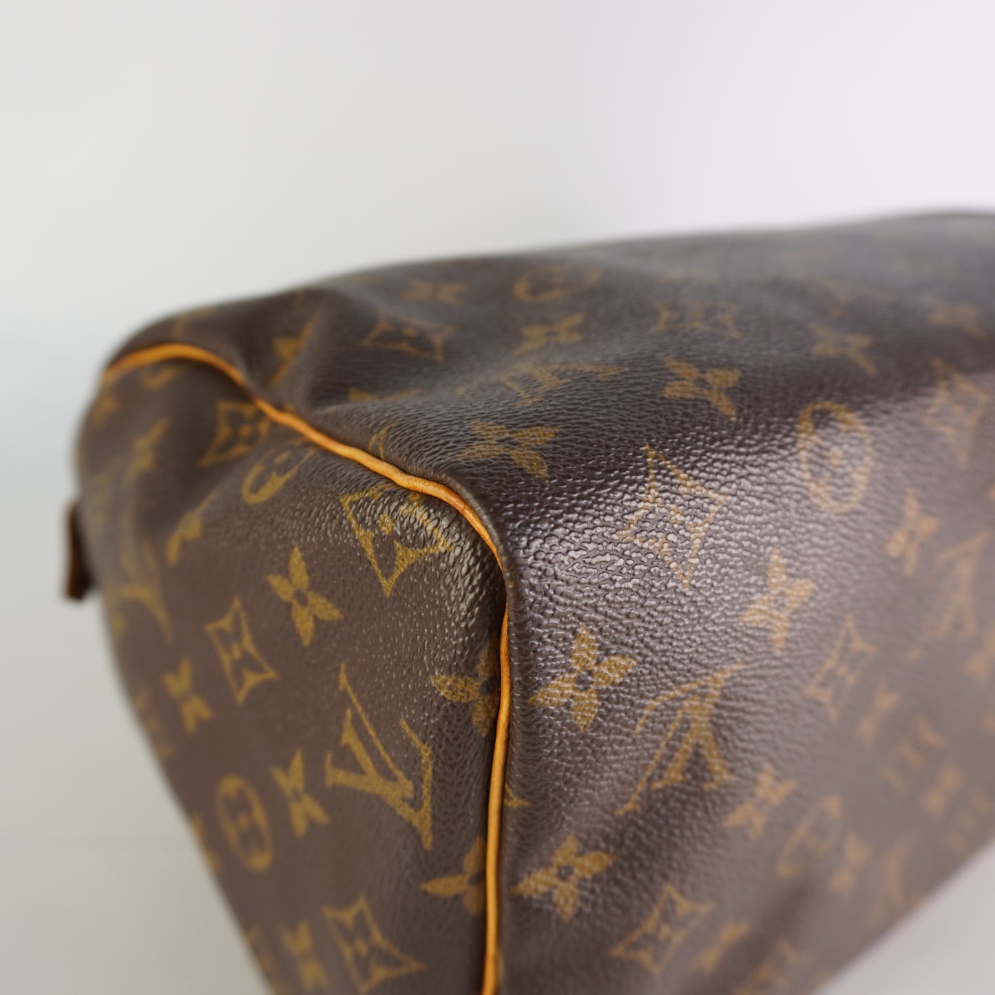 Louis Vuitton	Speedy 30 Mono