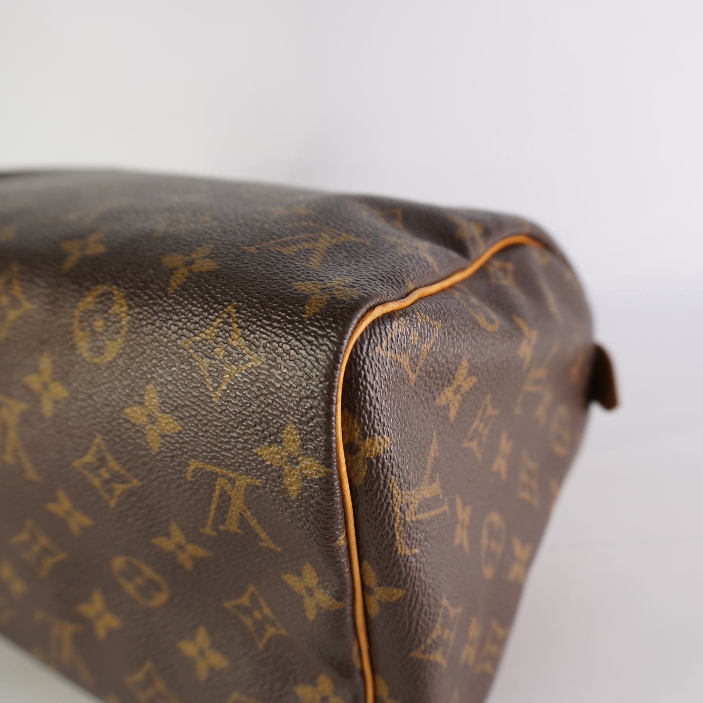 Louis Vuitton	Speedy 30 Mono