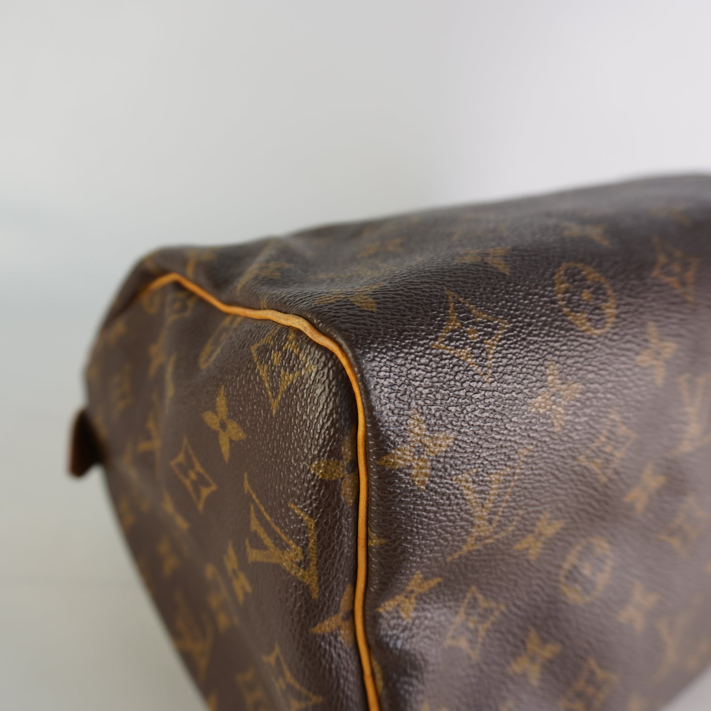 Louis Vuitton	Speedy 30 Mono