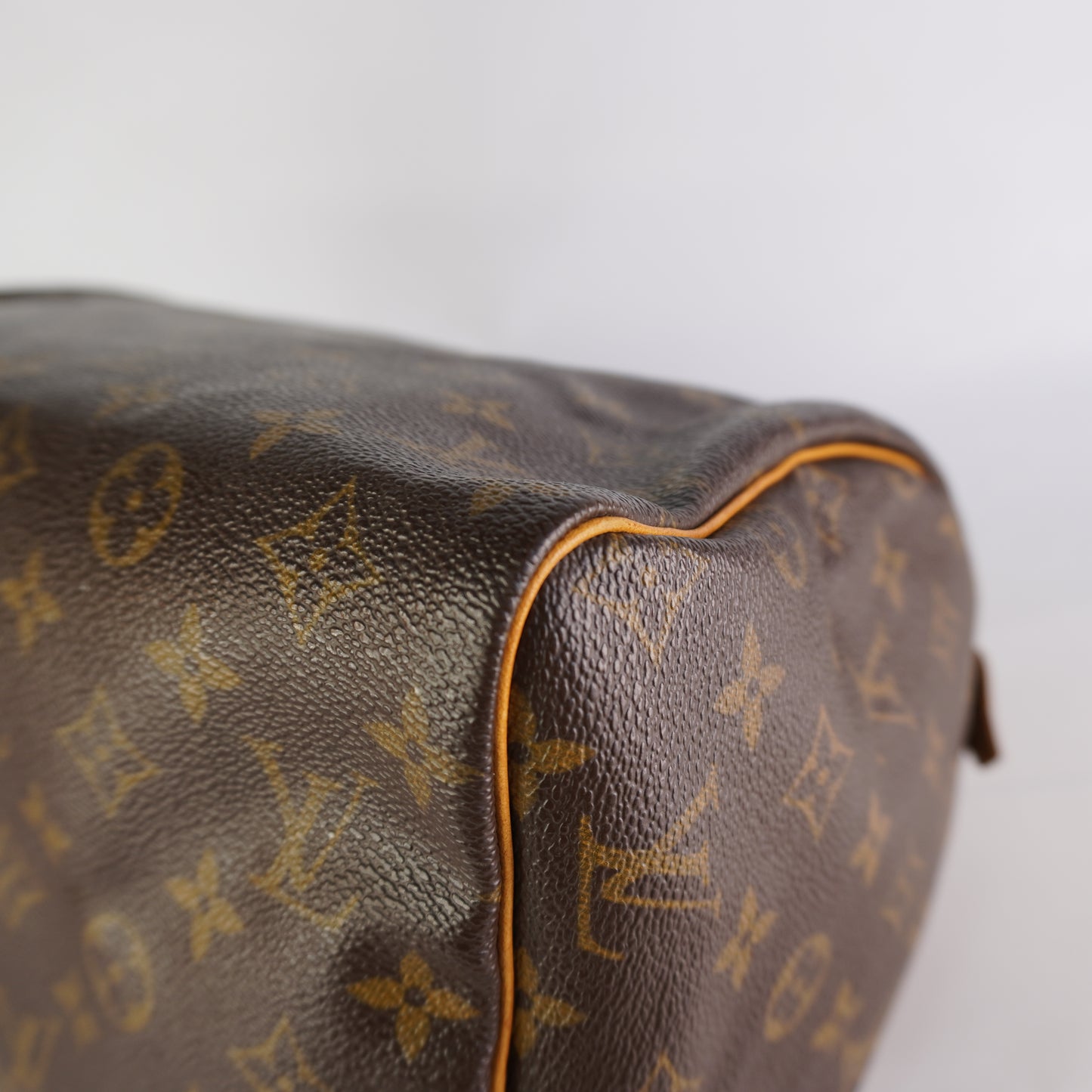 Louis Vuitton	Speedy 30 Mono