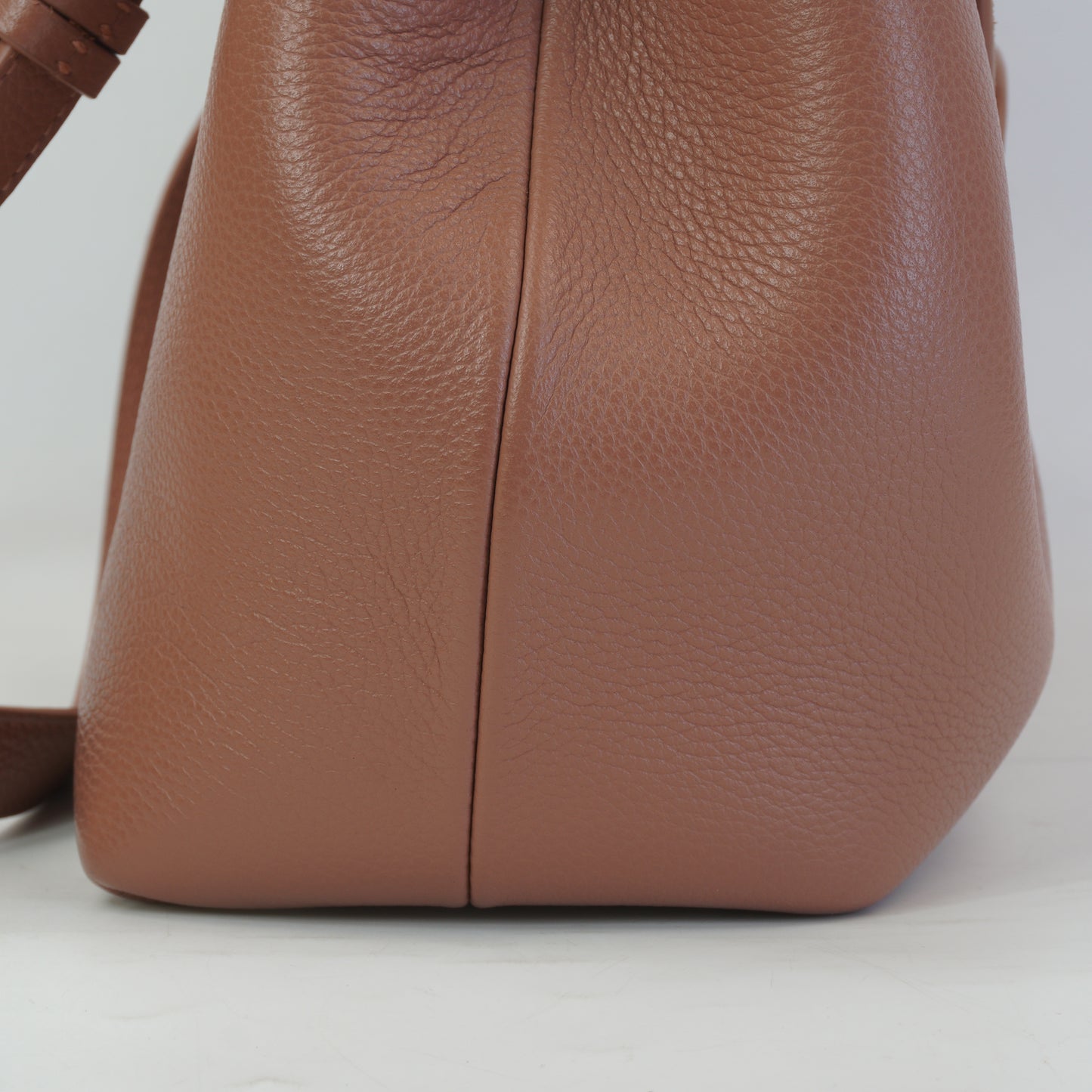 Polene Numero Un Nano Bag GHW Medium