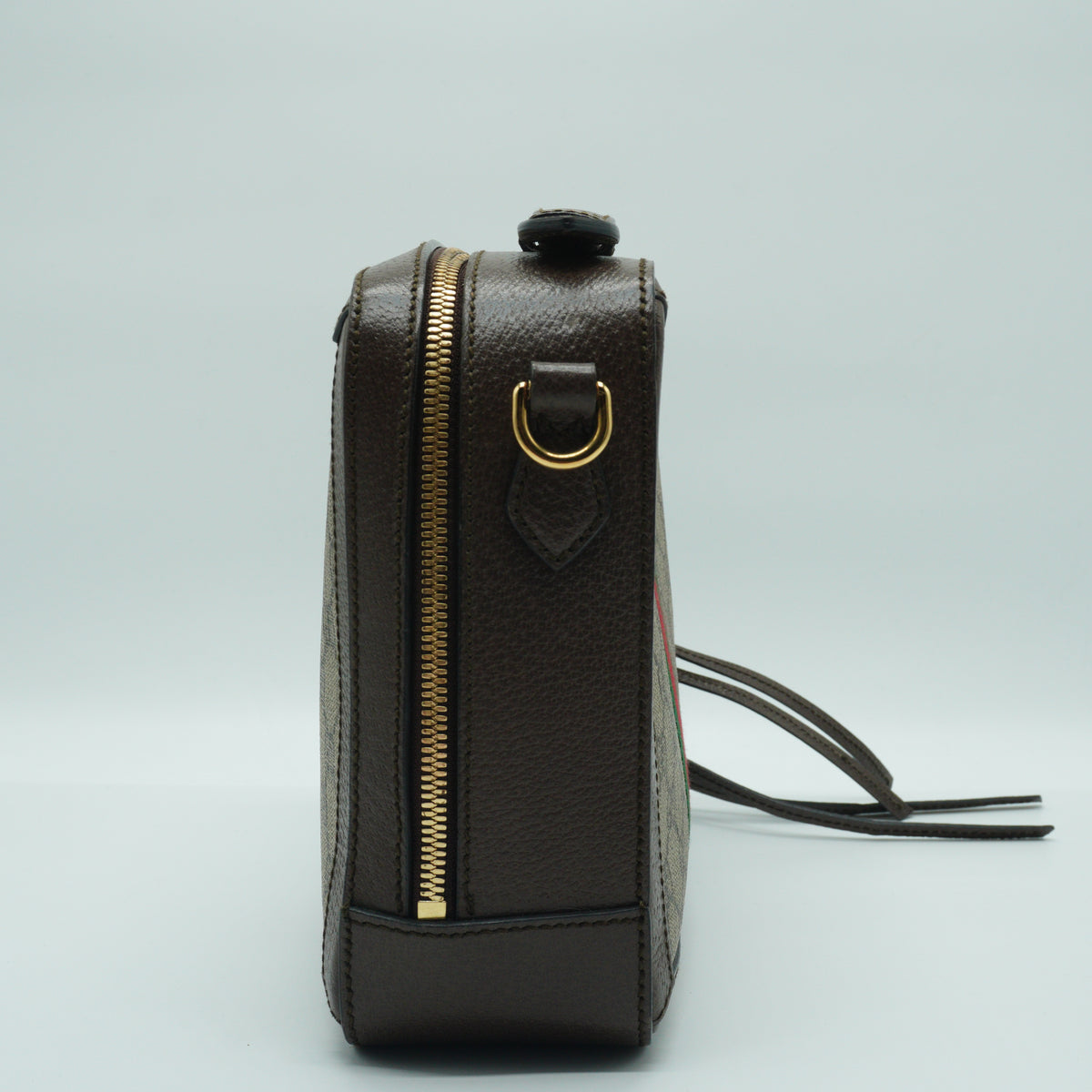 Gucci Ophidia GG Vanity Medium GHW