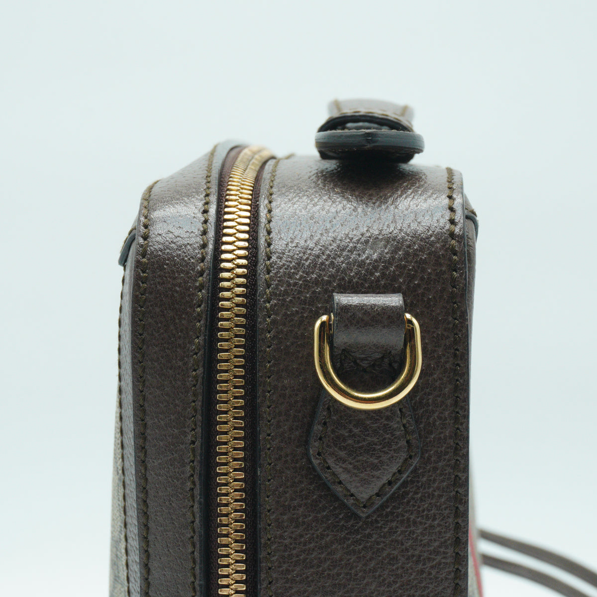 Gucci Ophidia GG Vanity Medium GHW