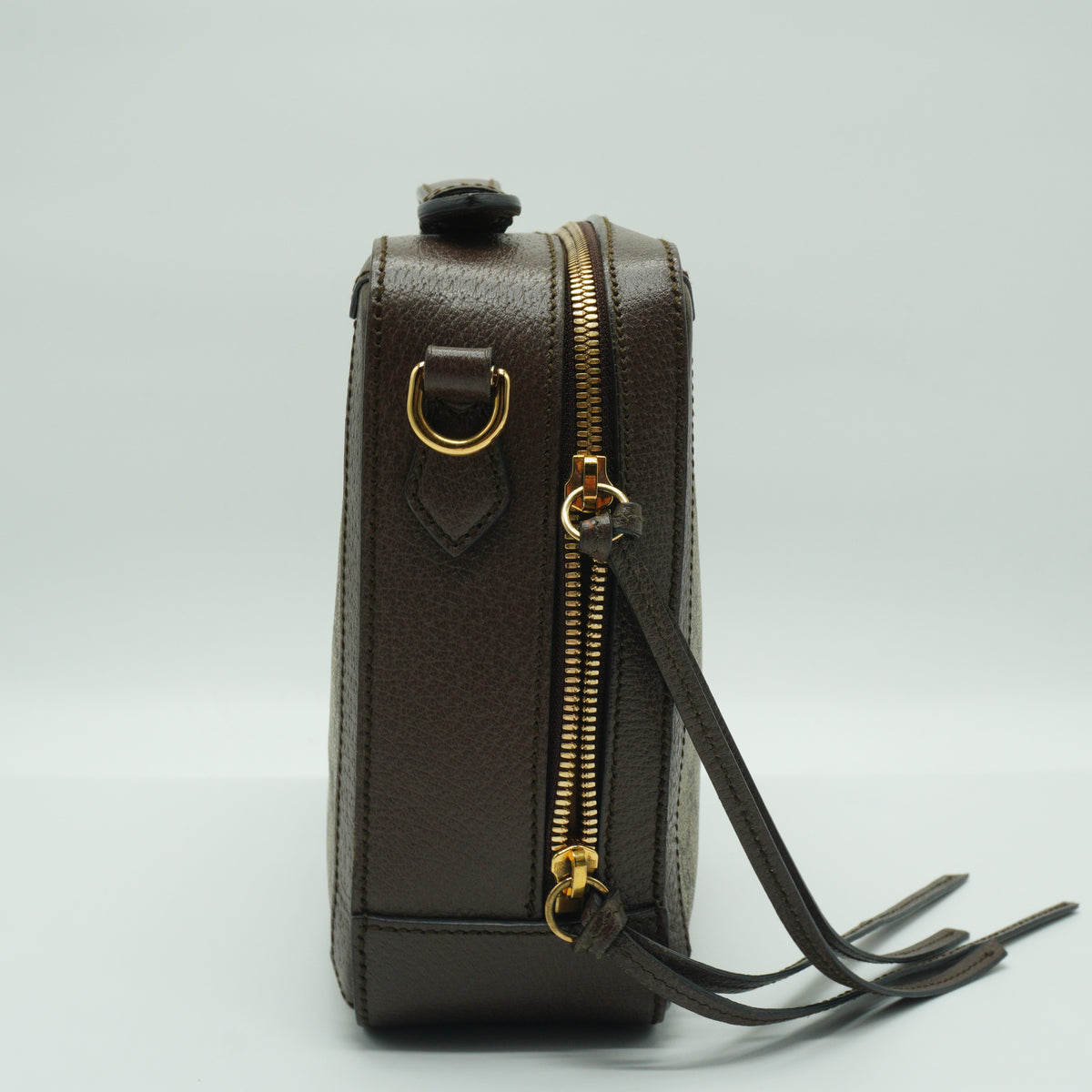Gucci Ophidia GG Vanity Medium GHW