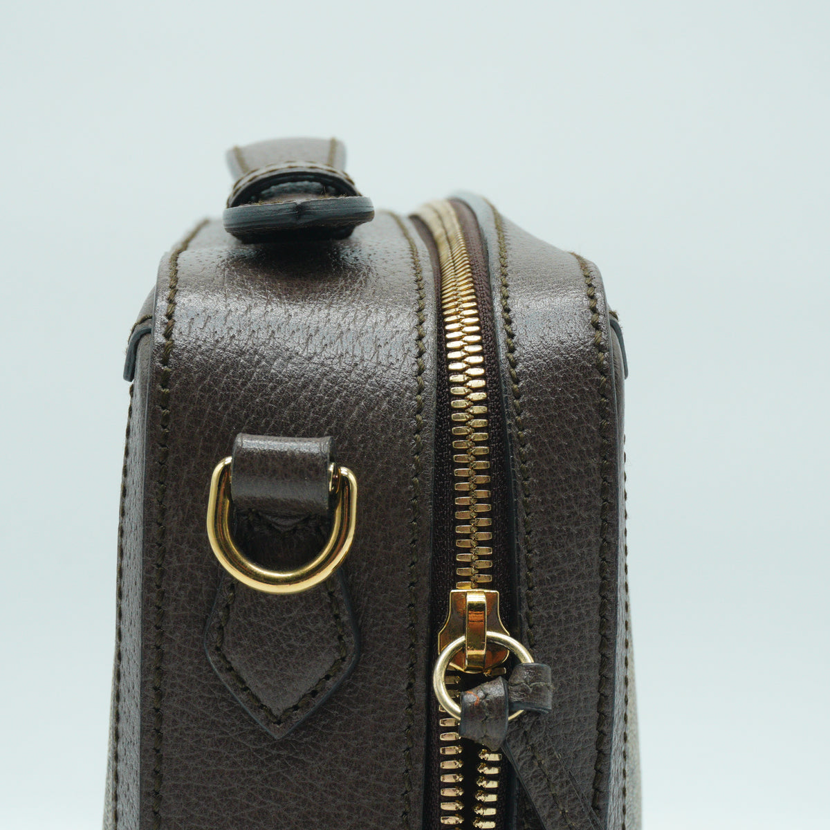 Gucci Ophidia GG Vanity Medium GHW
