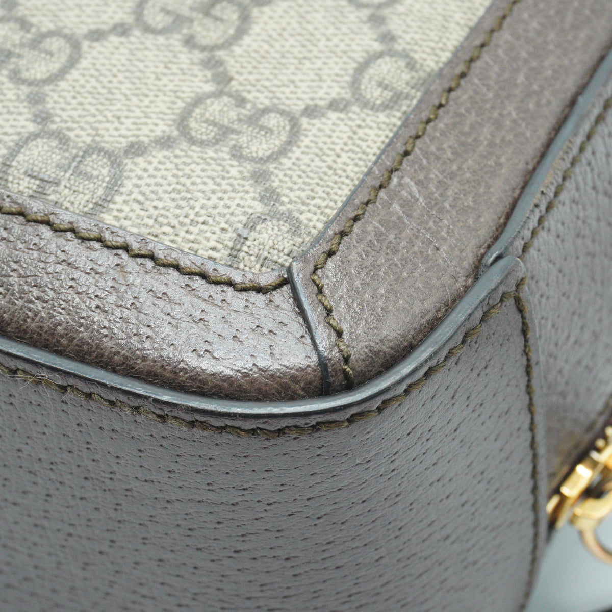 Gucci Ophidia GG Vanity Medium GHW