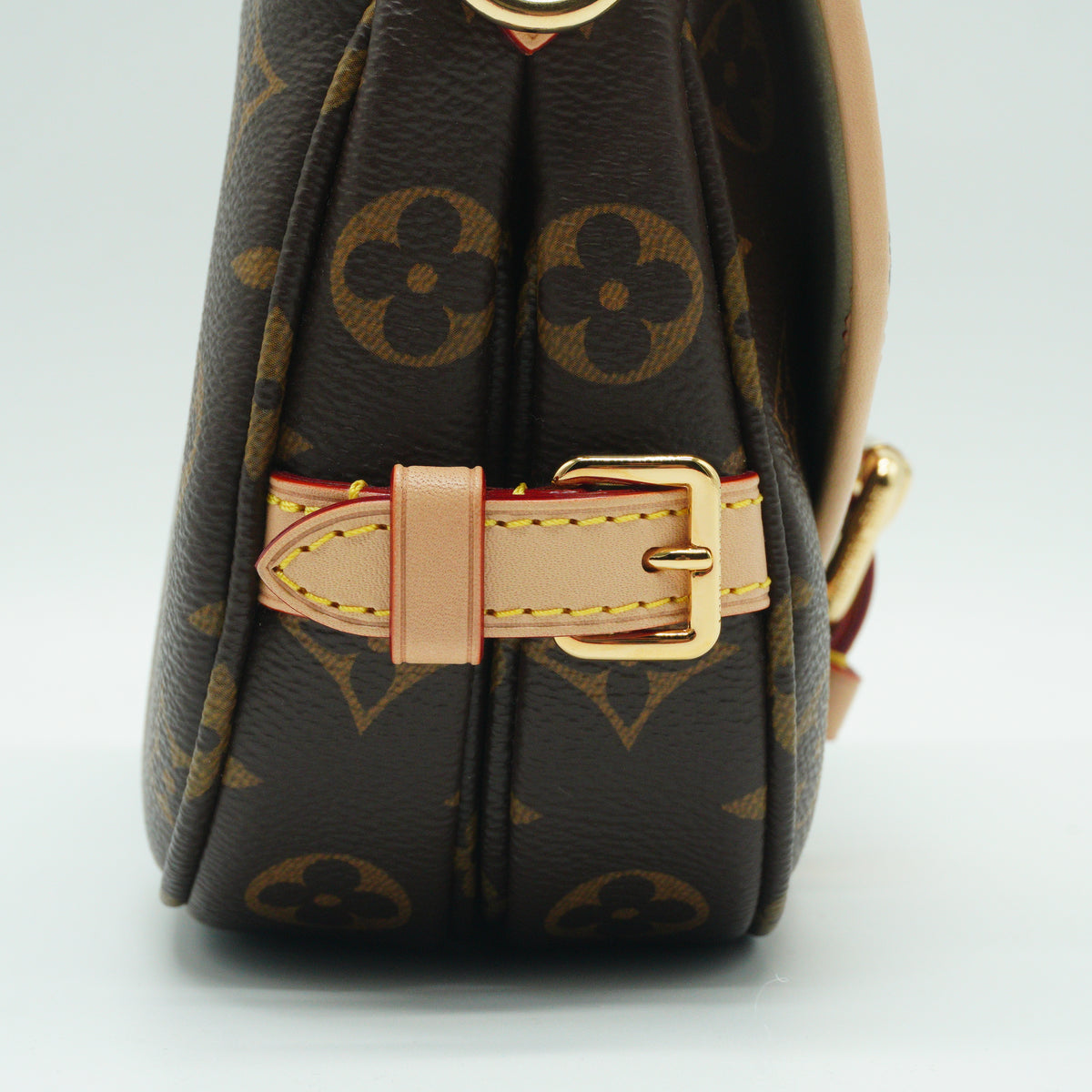 Louis Vuitton Saumur BB Mono GHW