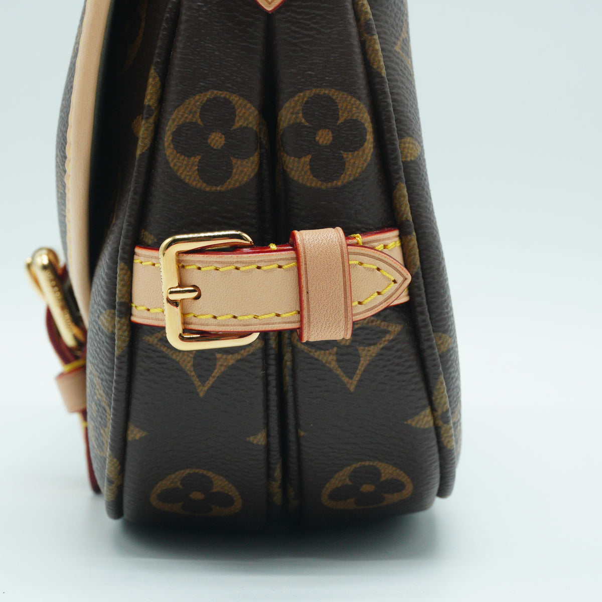 Louis Vuitton Saumur BB Mono GHW