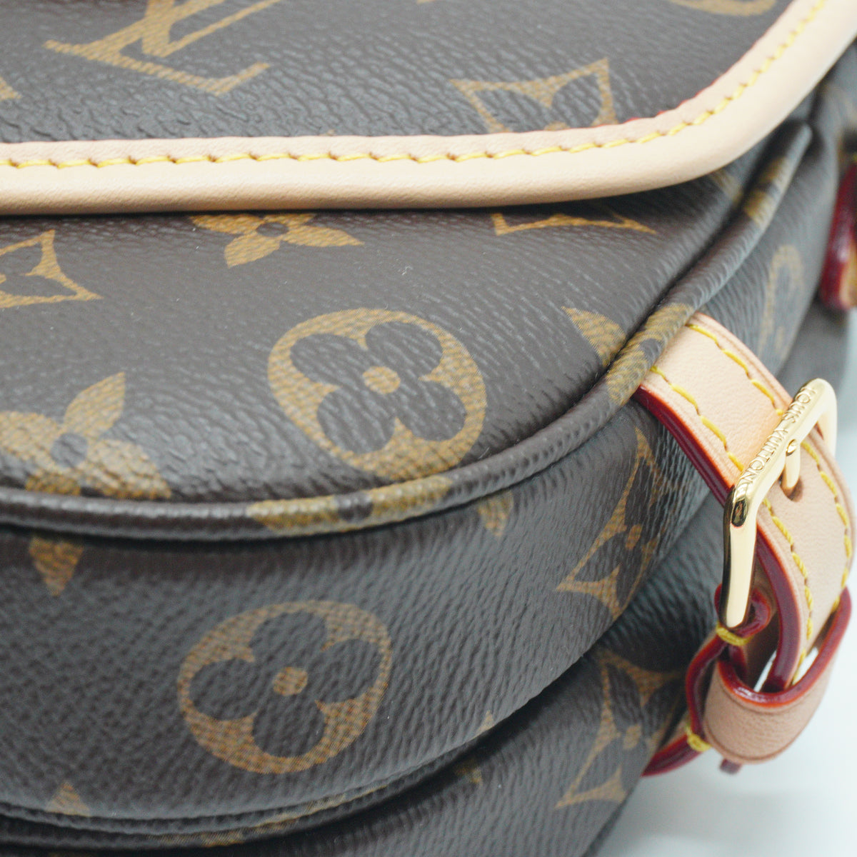 Louis Vuitton Saumur BB Mono GHW