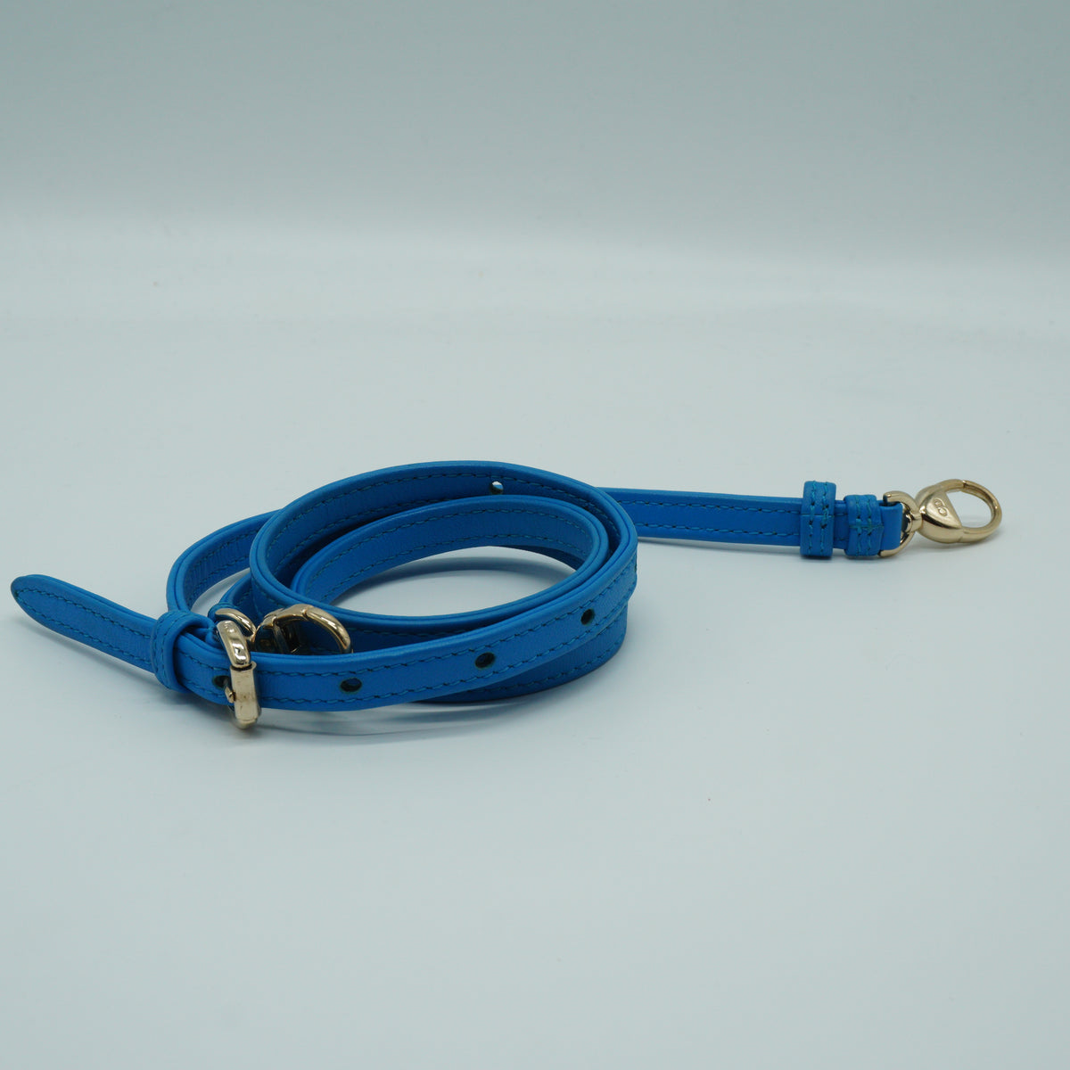 Dior Lady Dior Mini Blue SHW