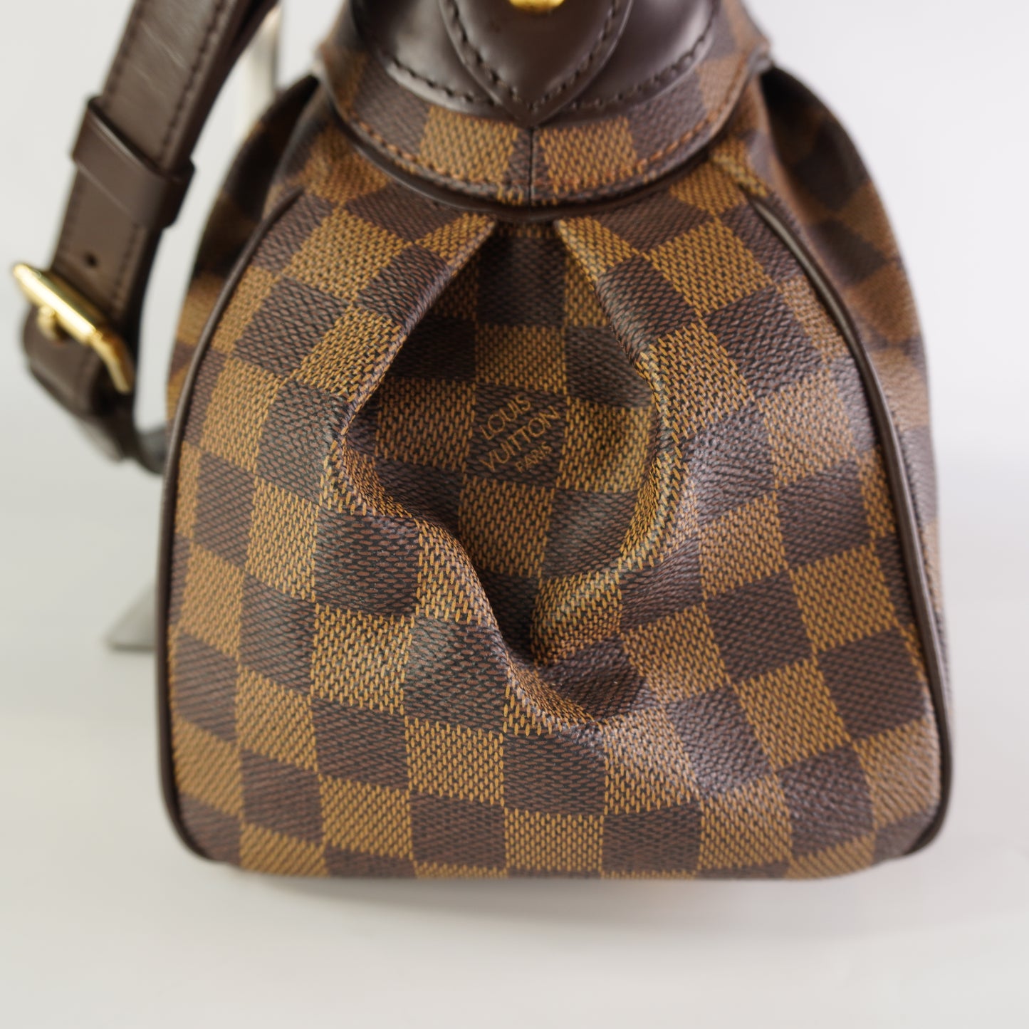 Louis Vuitton Trevi PM Damier Ebene