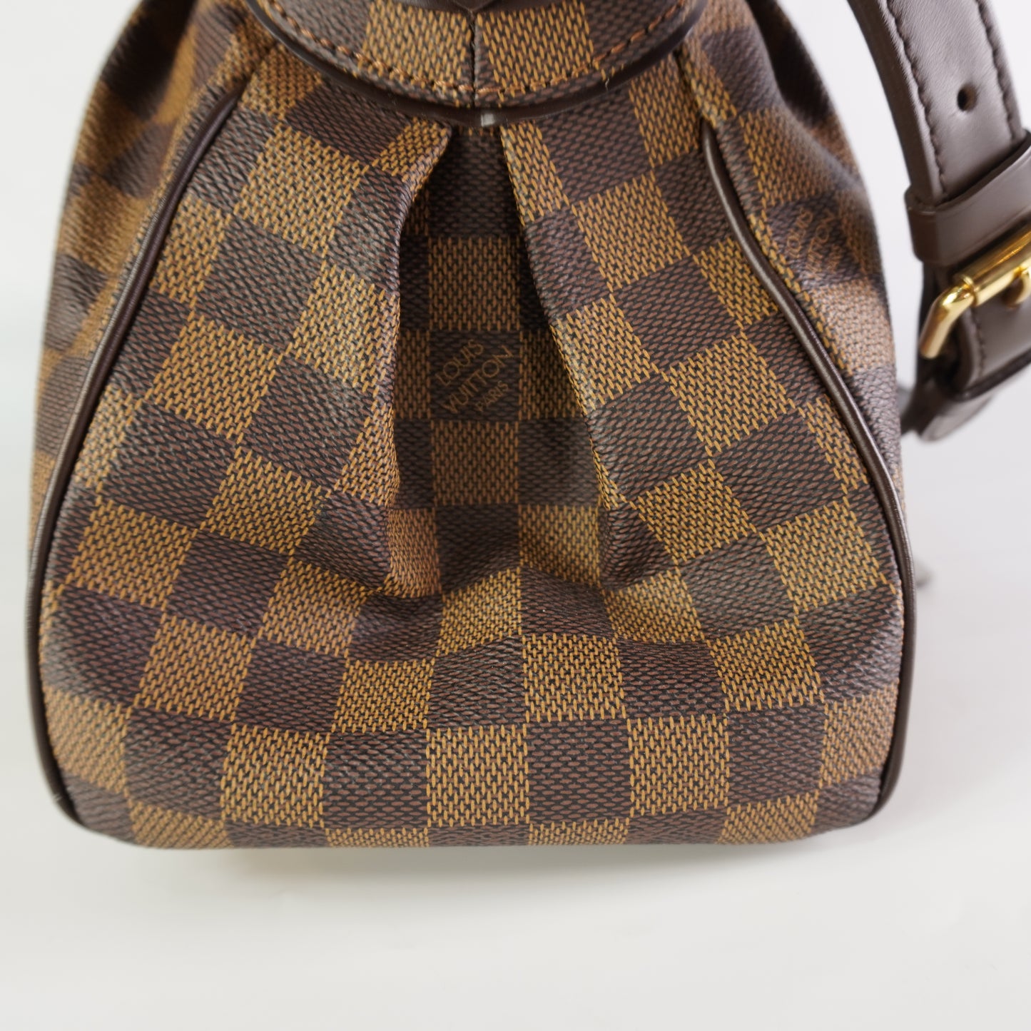 Louis Vuitton Trevi PM Damier Ebene