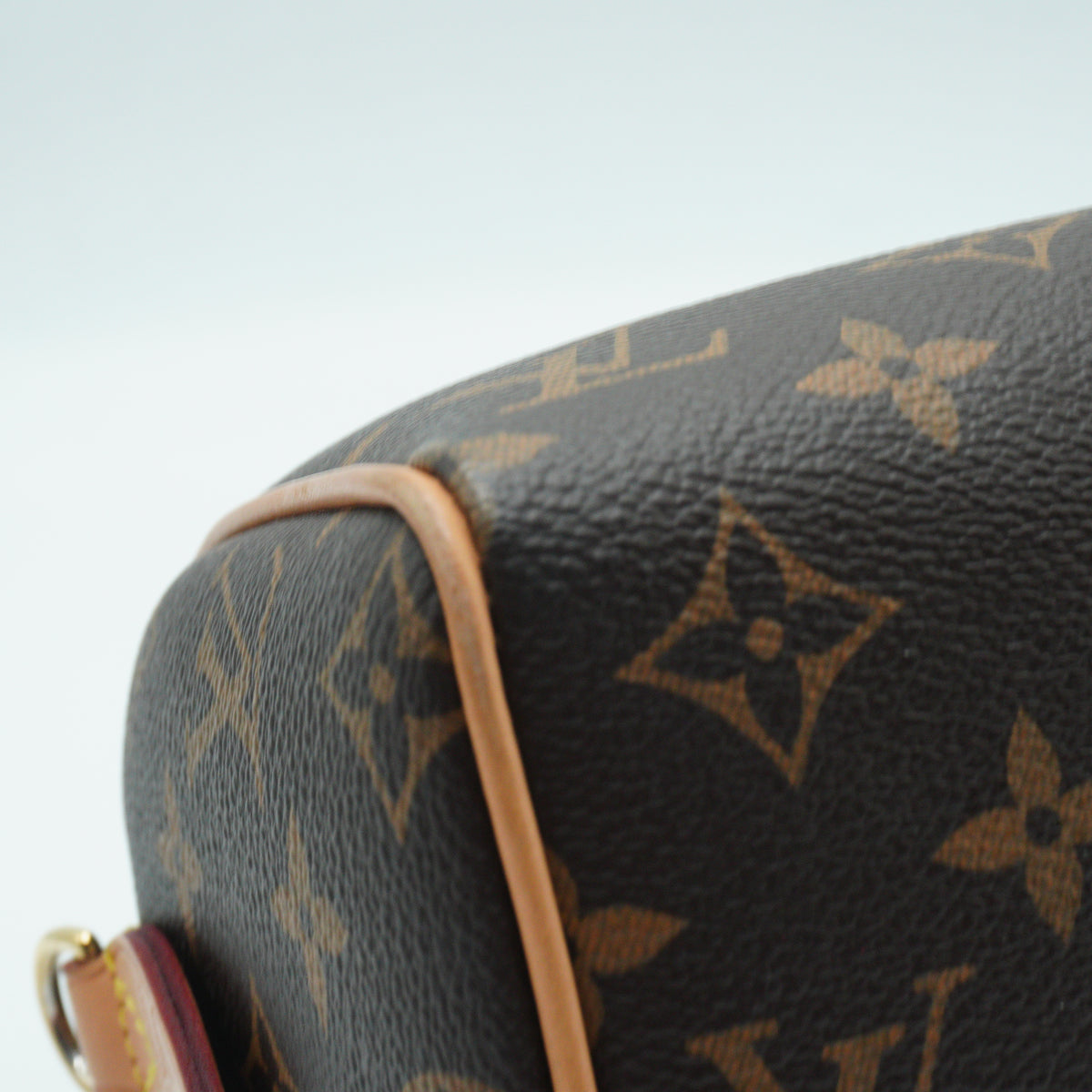 Louis Vuitton	Speedy 25 Bando Mono  GHW