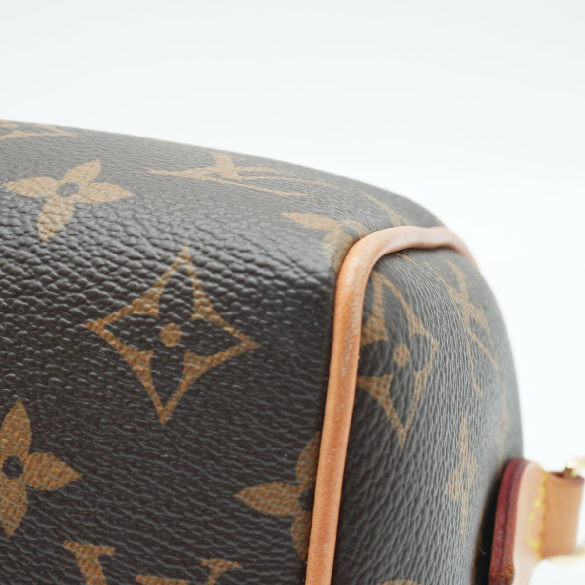 Louis Vuitton	Speedy 25 Bando Mono  GHW