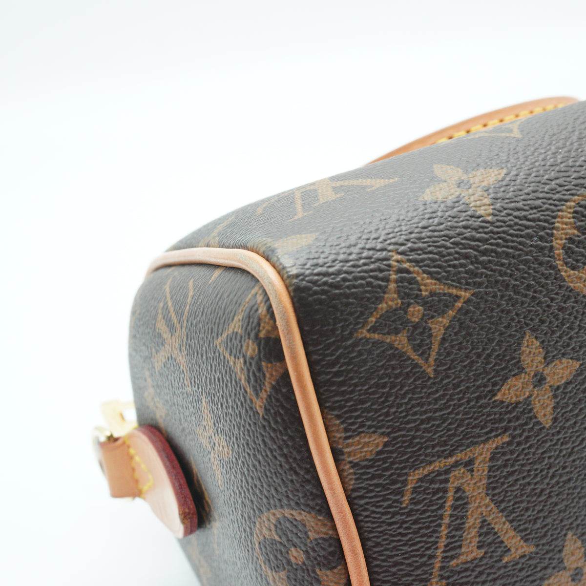Louis Vuitton	Speedy 25 Bando Mono  GHW