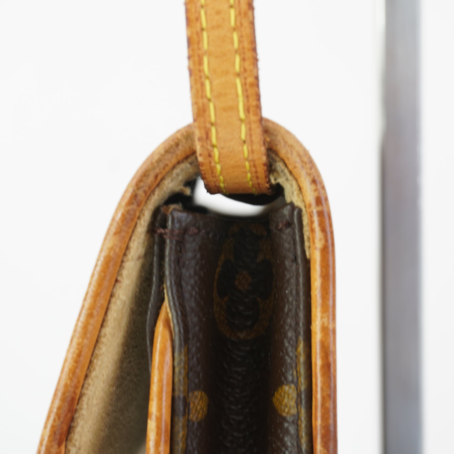 Louis Vuitton Pochette Mono