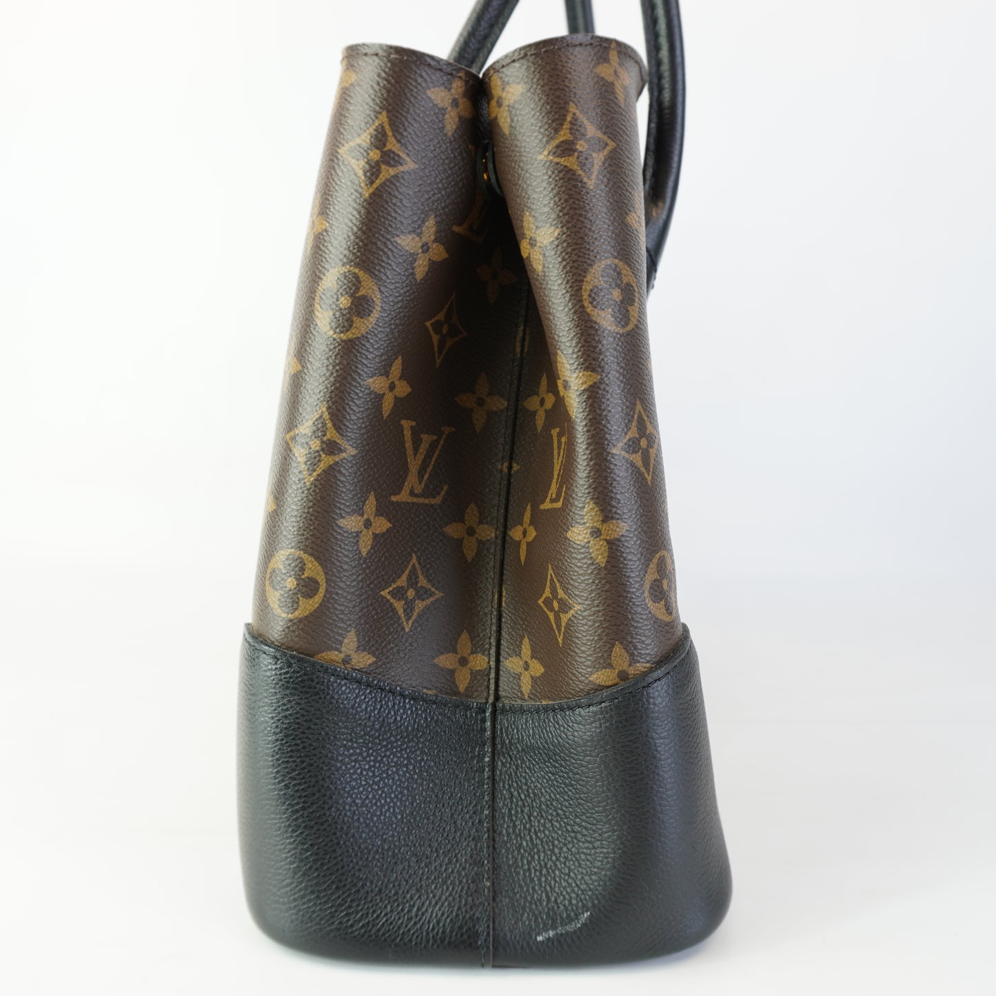 Louis Vuitton	Monogram Canvas
