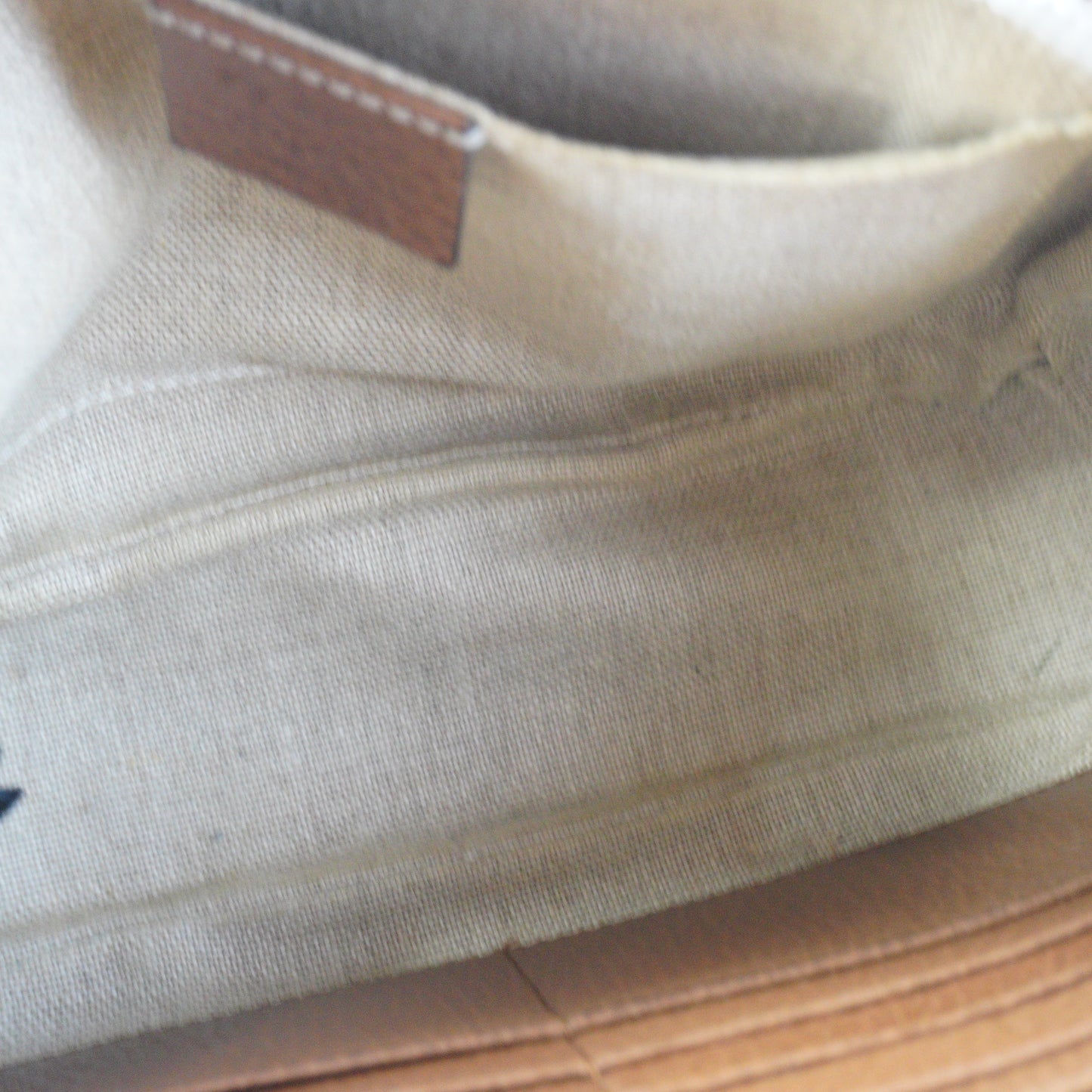 Gucci Bree Mini Camera Bag Canvas GHW