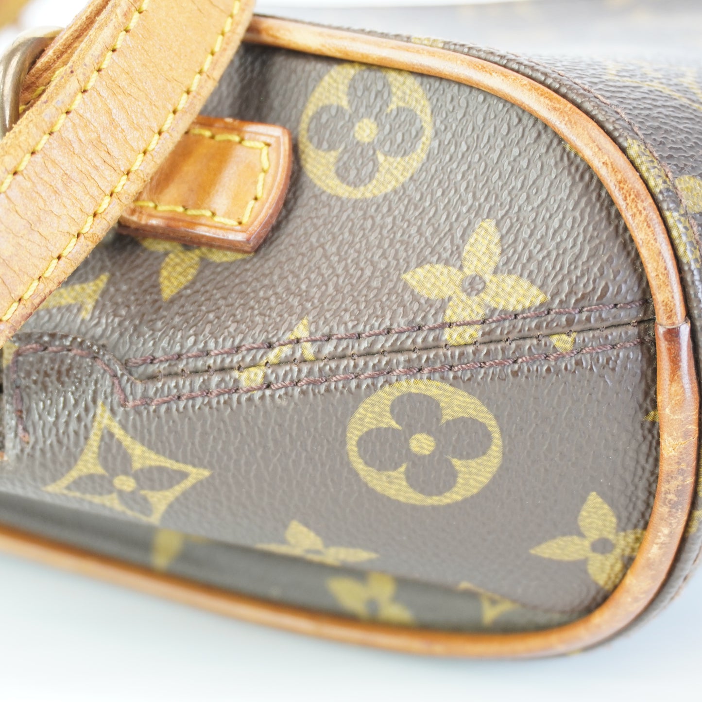 Louis Vuitton	Monogram Canvas