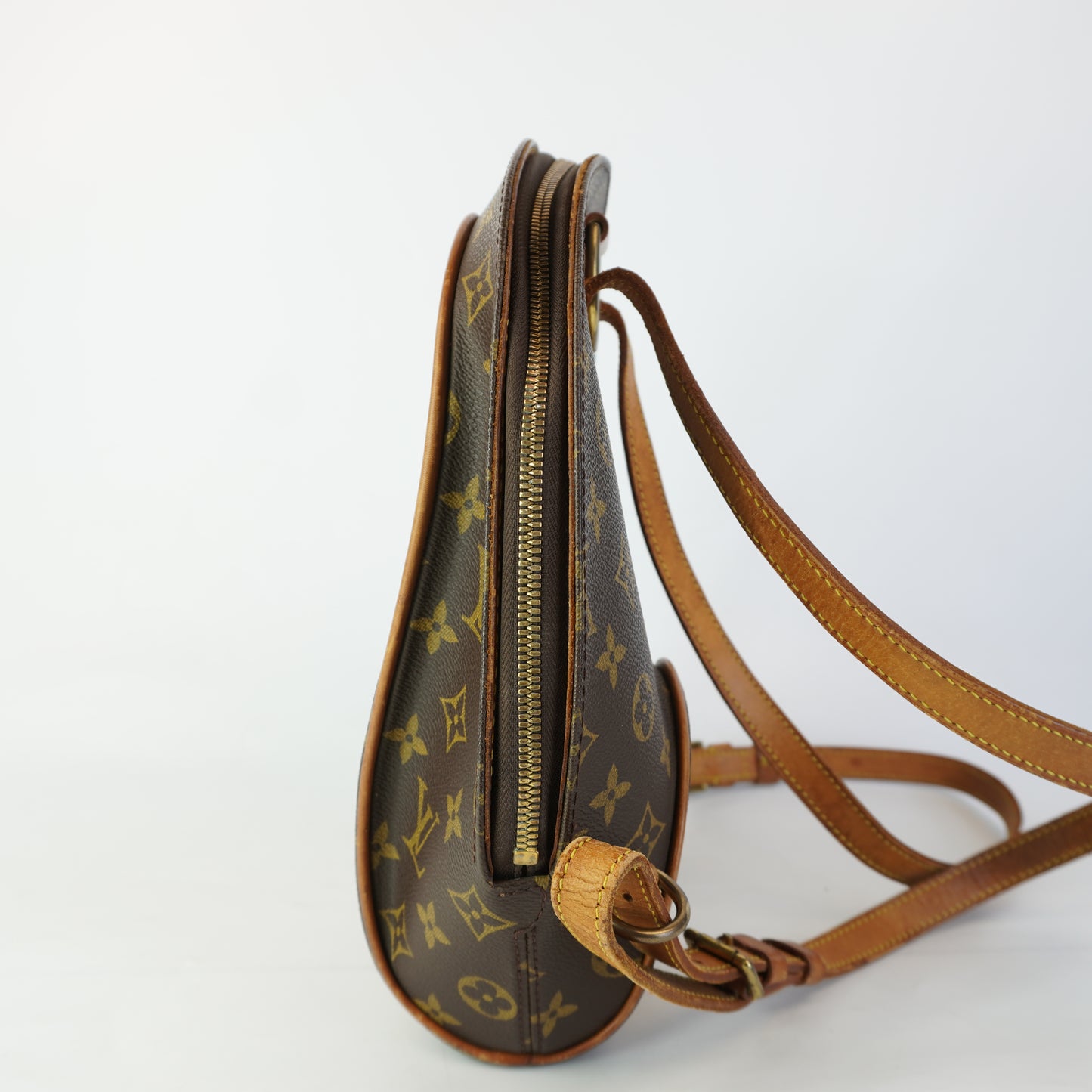 Louis Vuitton	Monogram Canvas