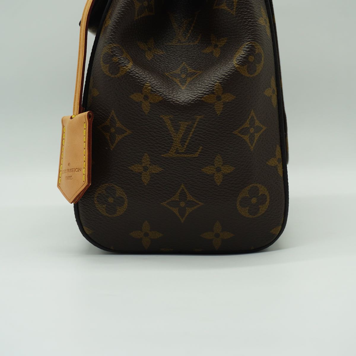 Louis Vuitton	Cluny MM Monogram Canvas GHW