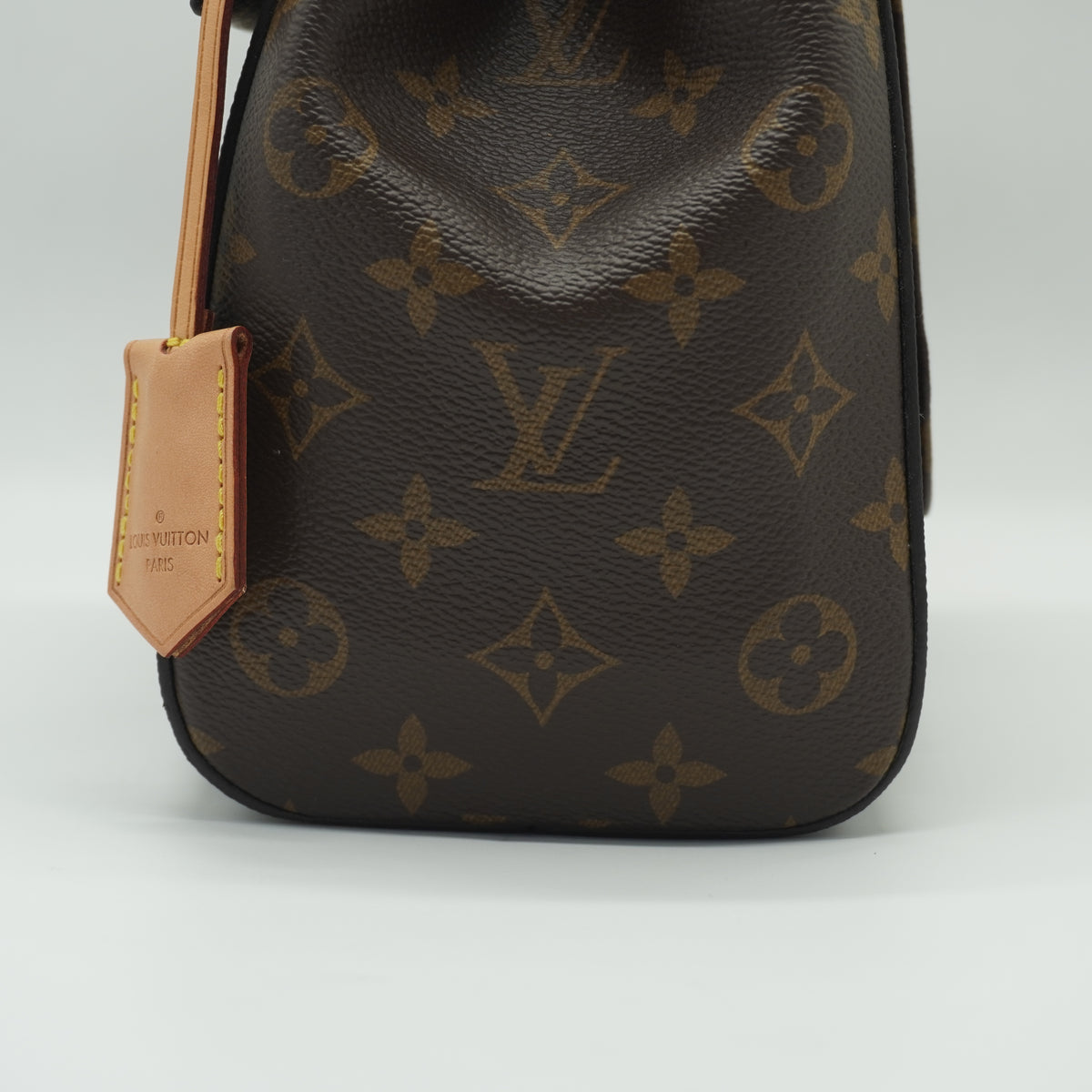 Louis Vuitton	Cluny MM Monogram Canvas GHW