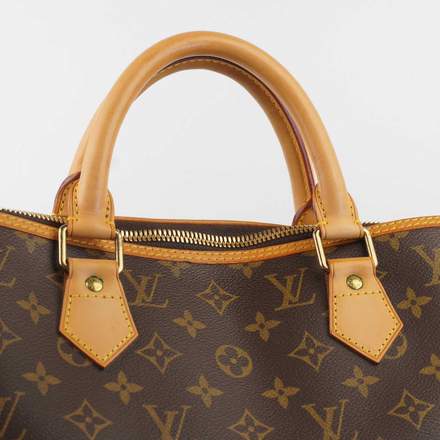 Louis Vuitton	Alma Voyage GM