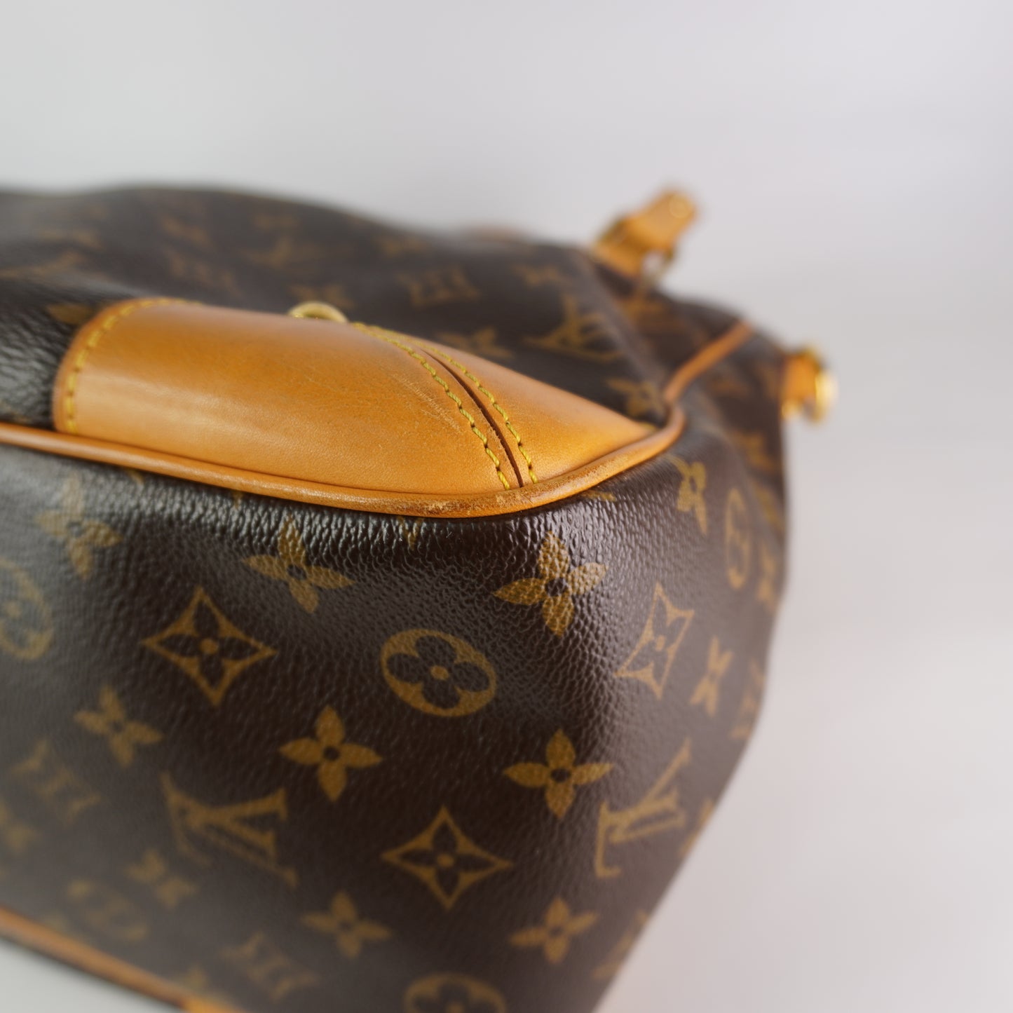 Louis Vuitton Estrela MM Mono