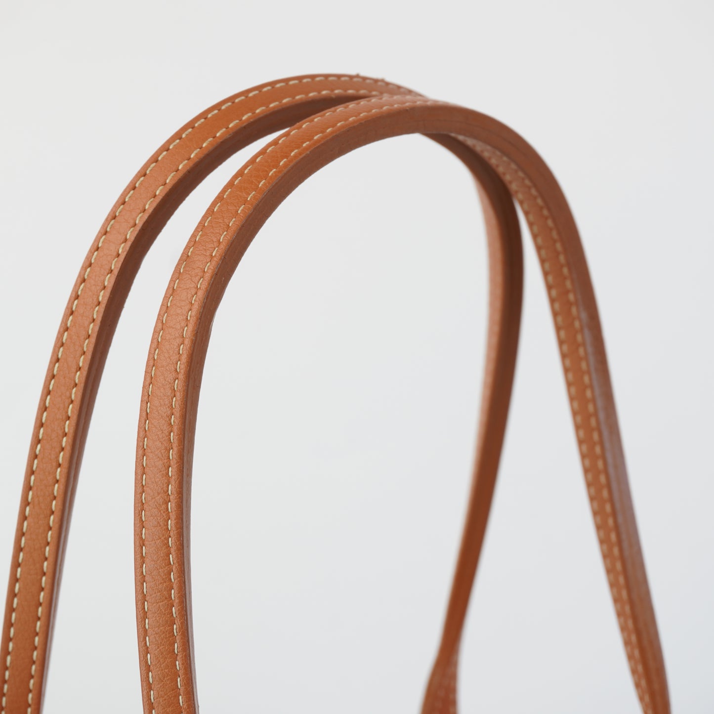 Goyard Mini Reversible Tote