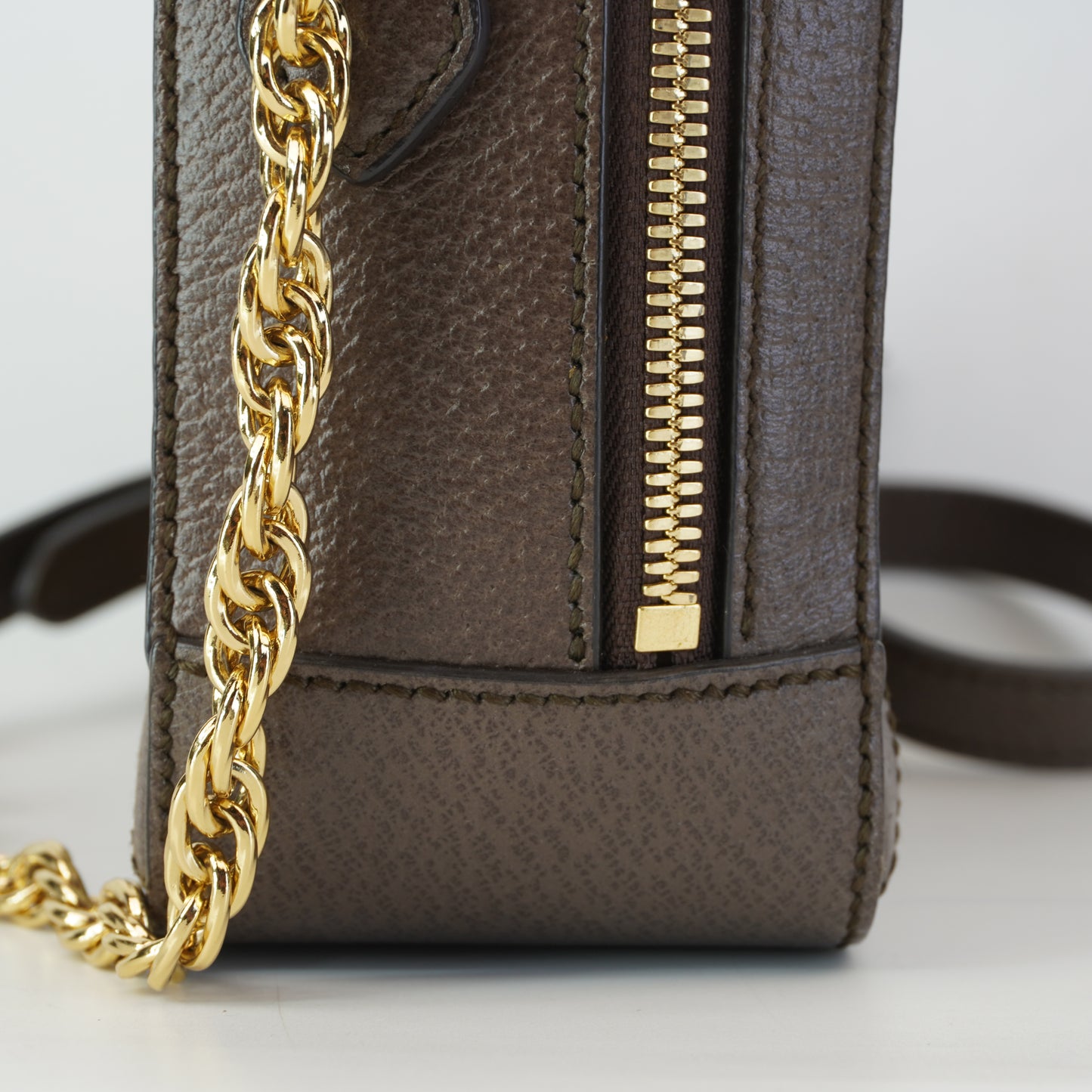 Gucci Ophidia Mini