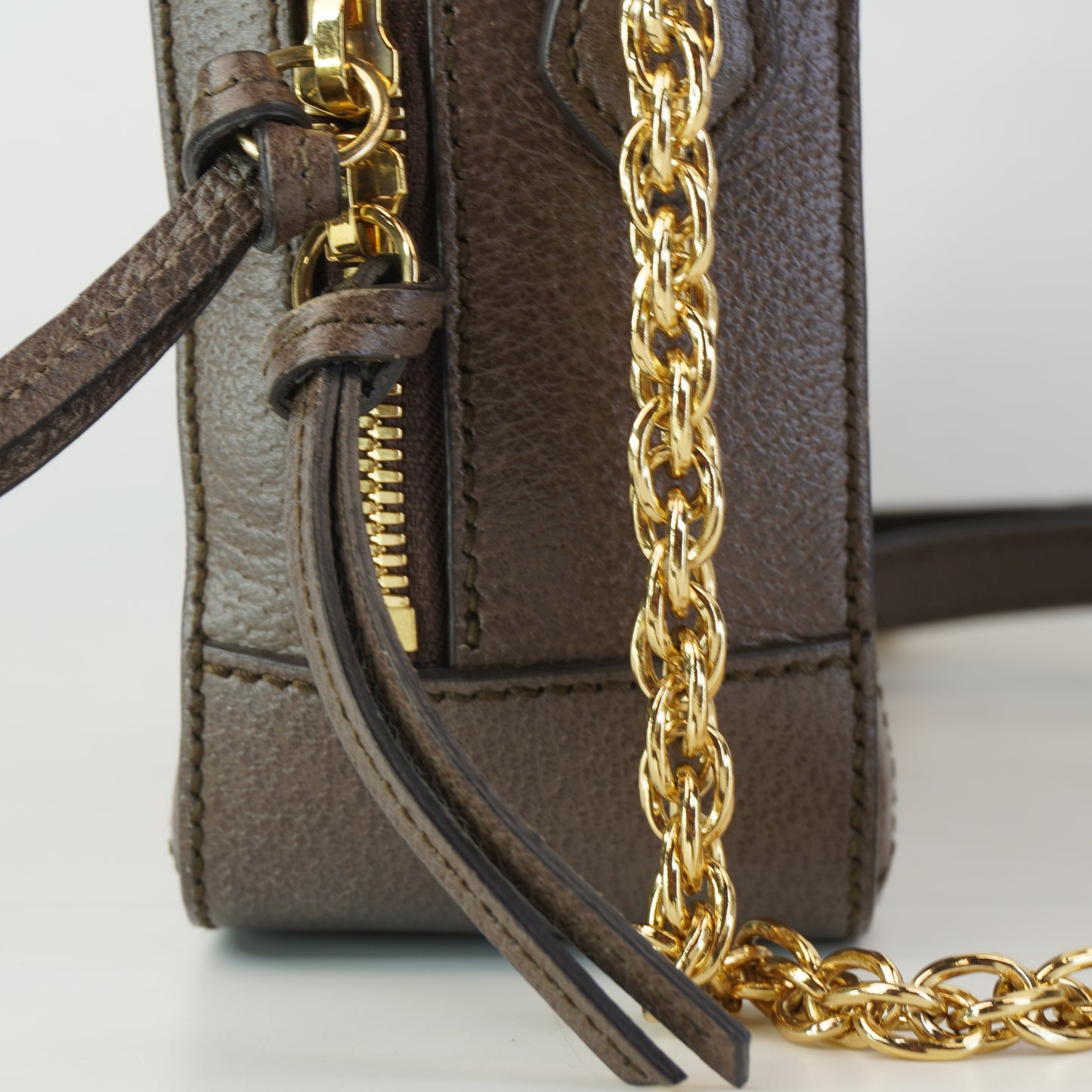 Gucci Ophidia Mini