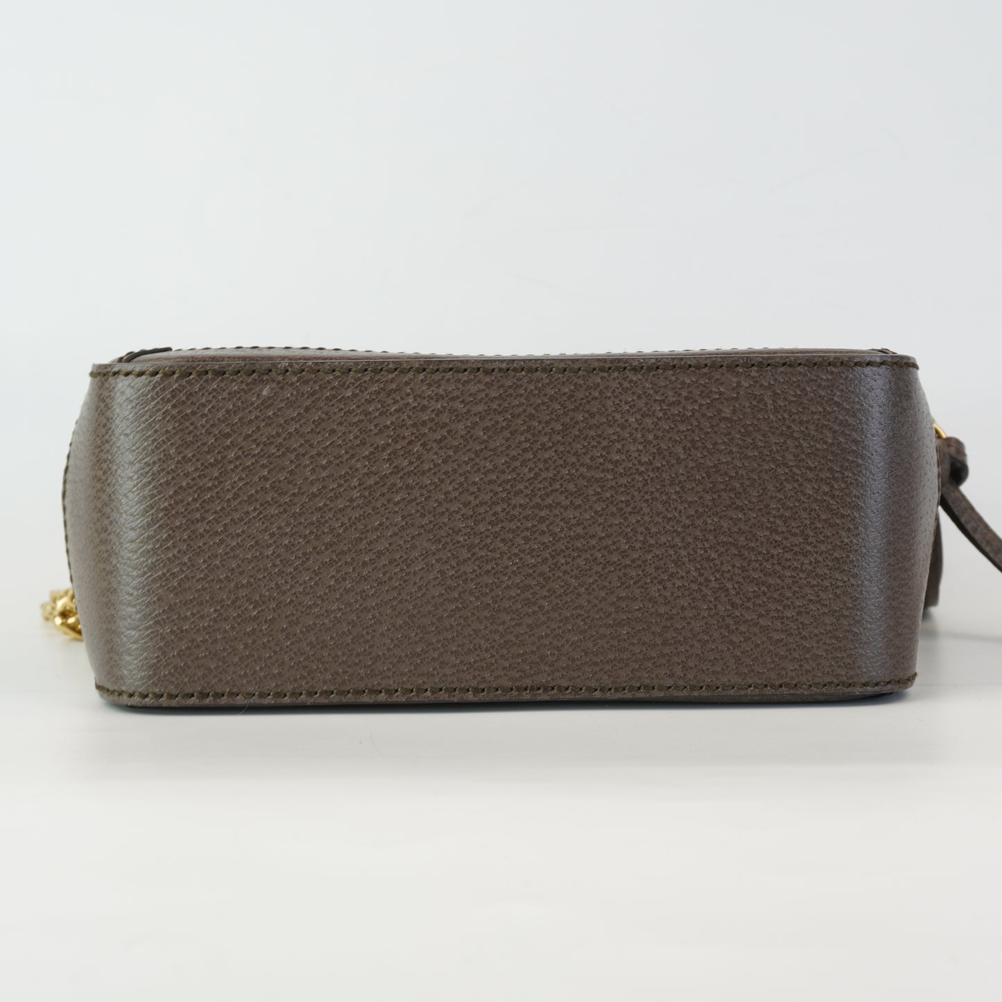 Gucci Ophidia Mini