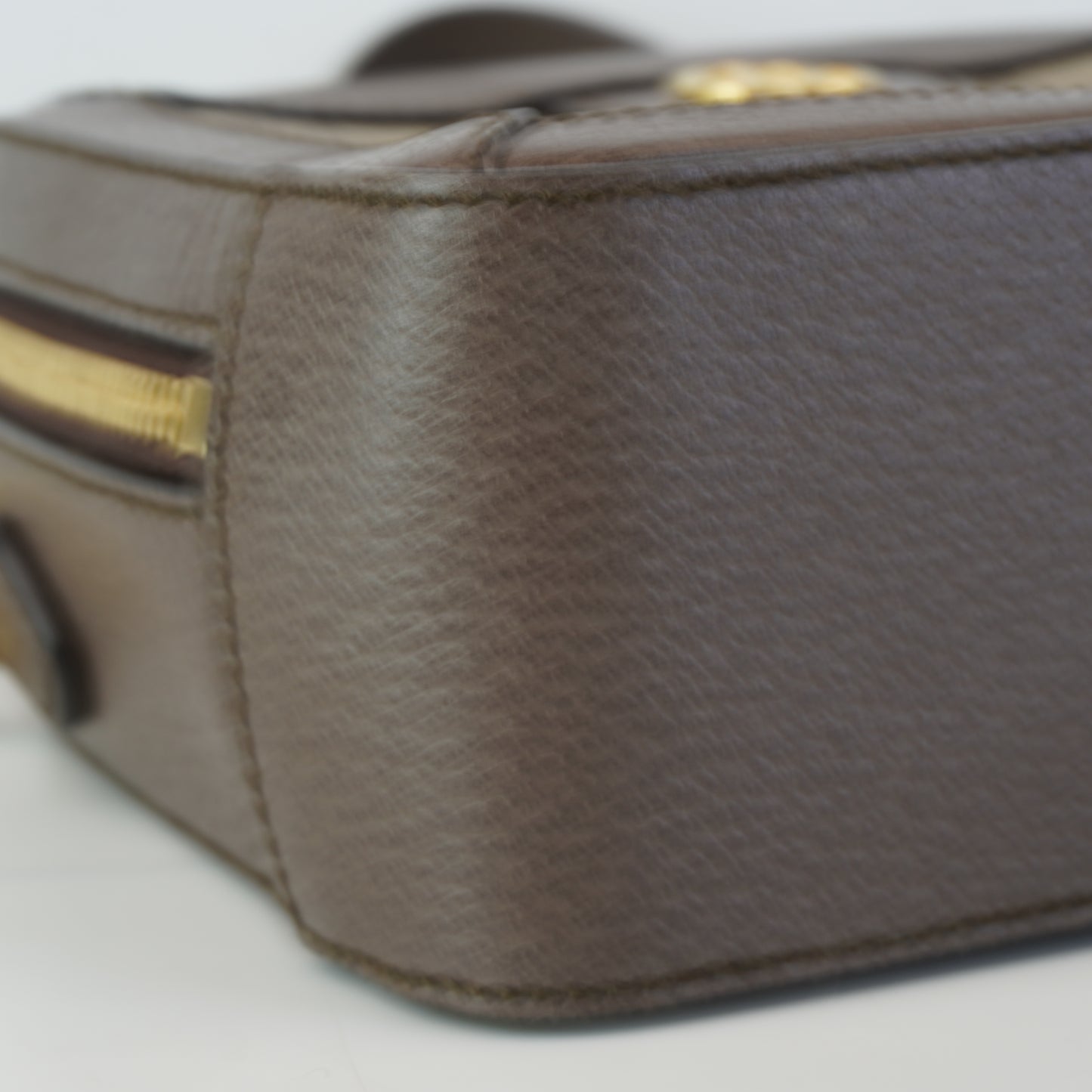 Gucci Ophidia Mini