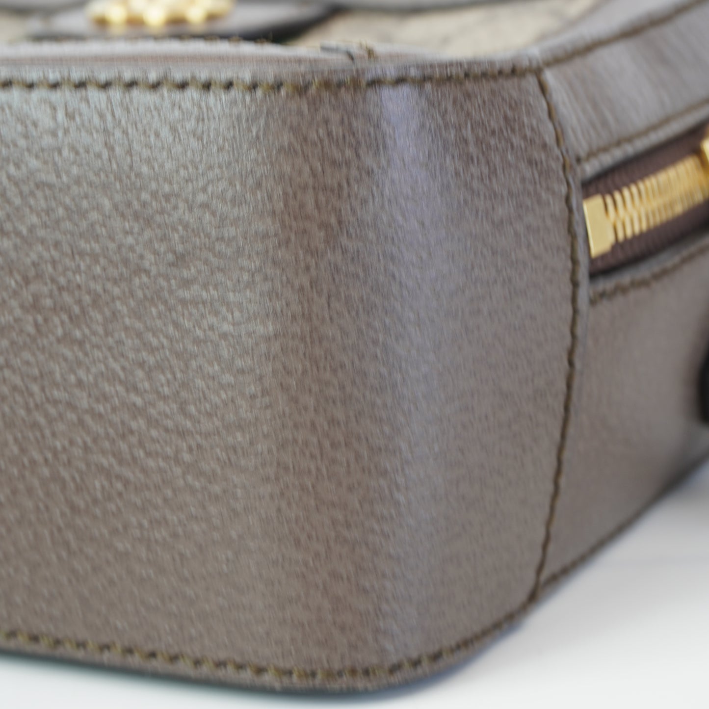 Gucci Ophidia Mini