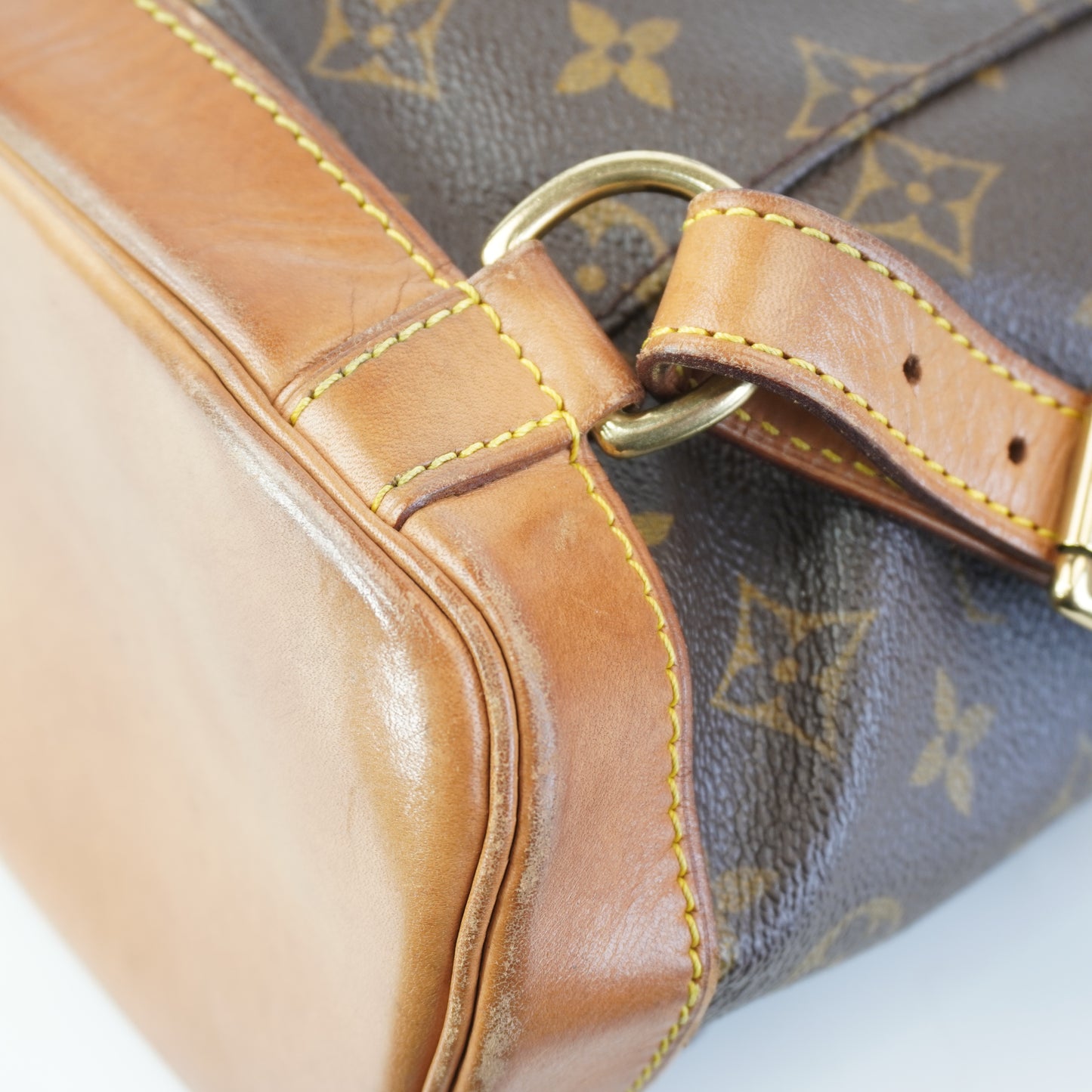 Louis Vuitton	Montsouris MM Backpack