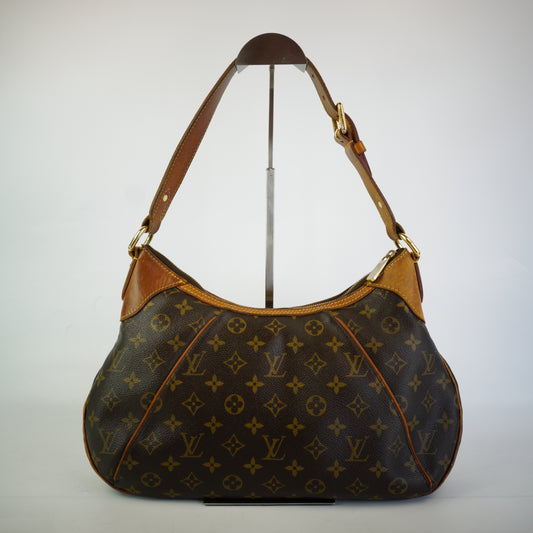 Louis Vuitton	Monogram Canvas Themes Bag
