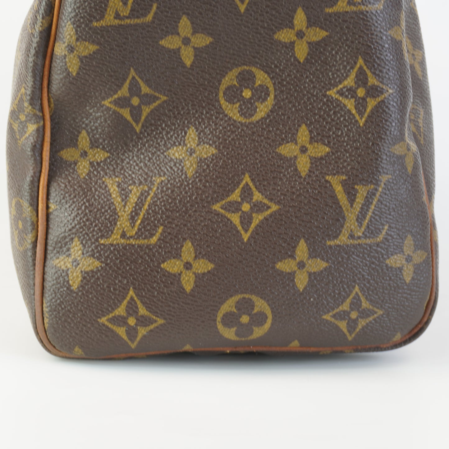 Louis Vuitton	Speedy 25 Mono