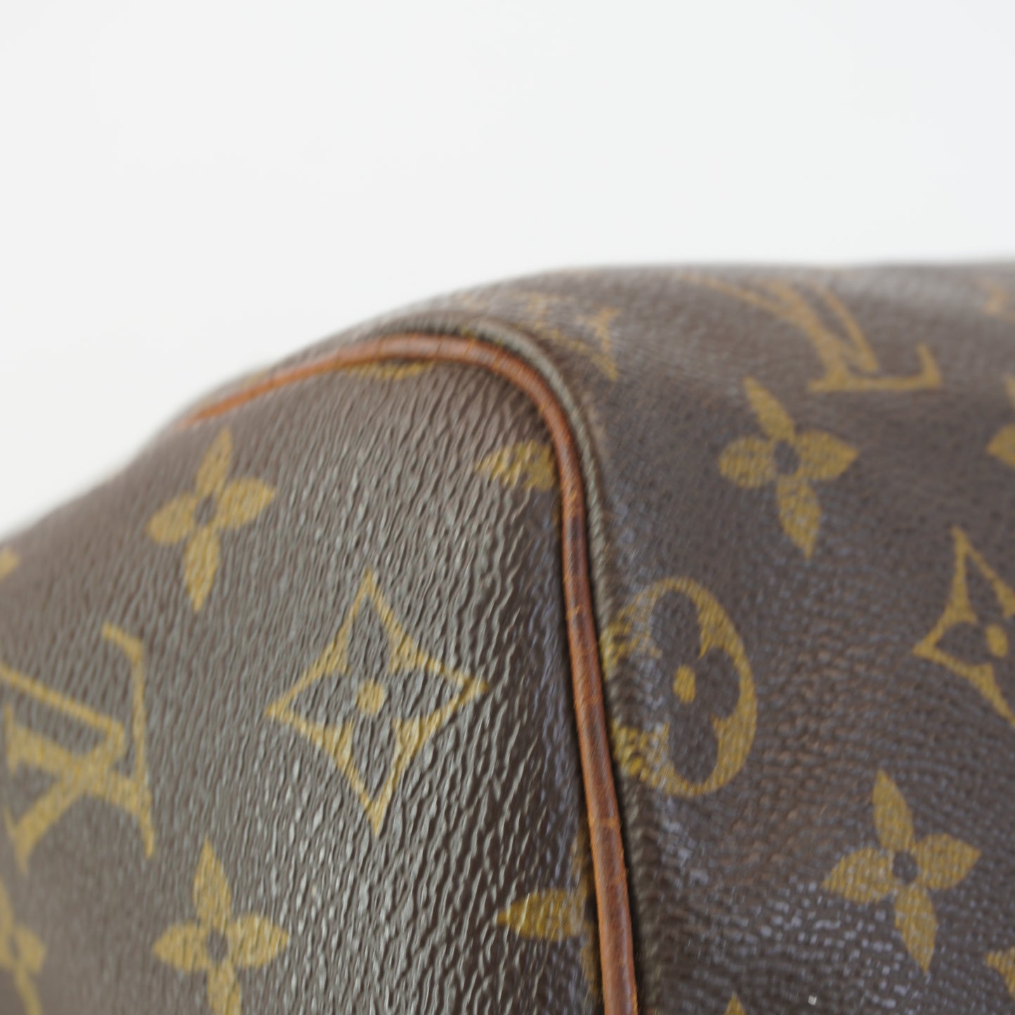 Louis Vuitton	Speedy 25 Mono