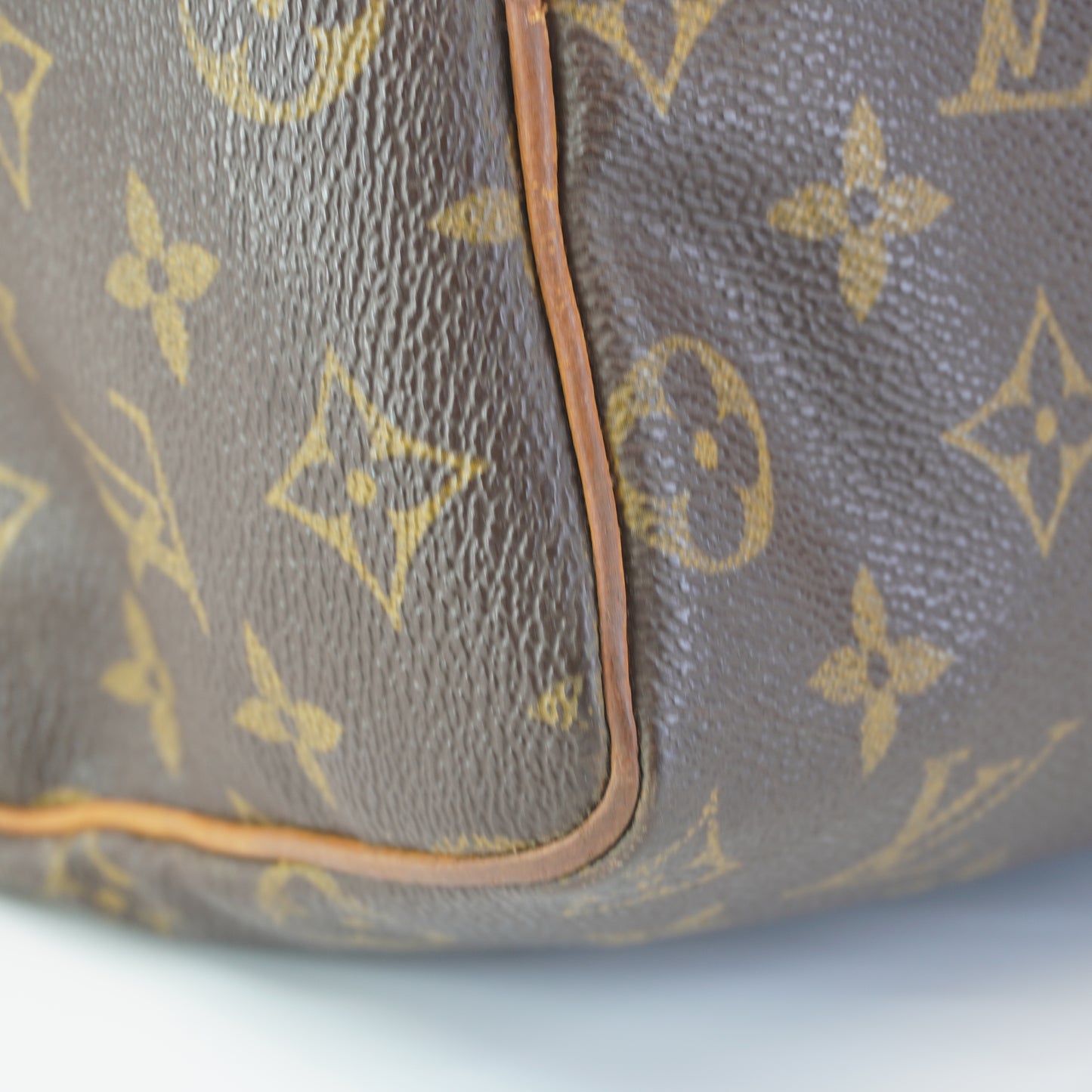 Louis Vuitton	Speedy 25 Mono