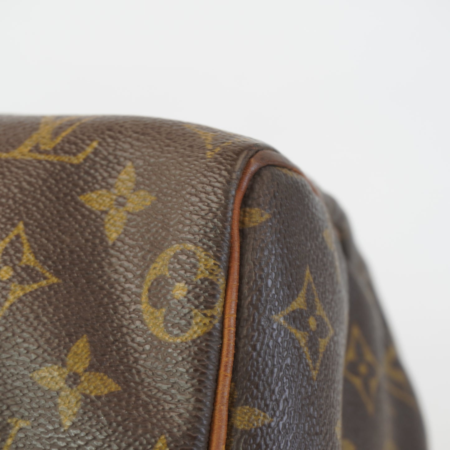 Louis Vuitton	Speedy 25 Mono