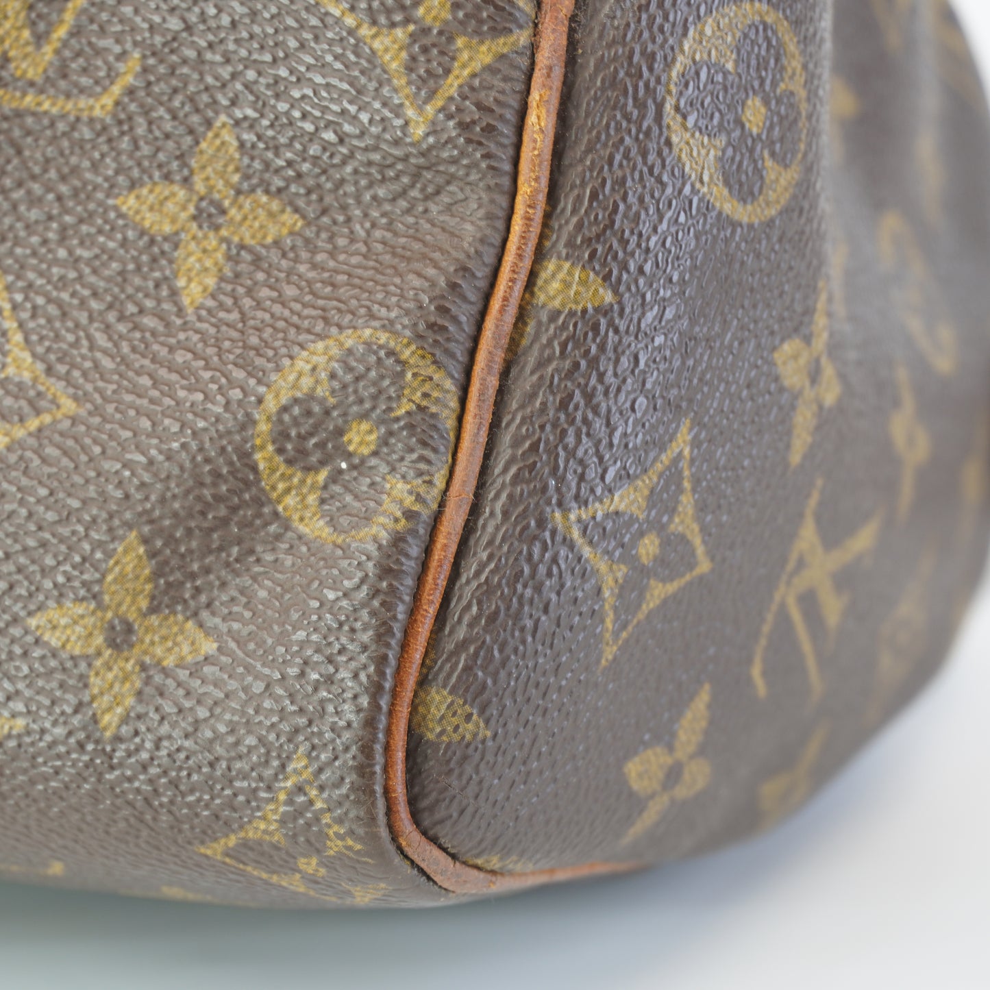 Louis Vuitton	Speedy 25 Mono