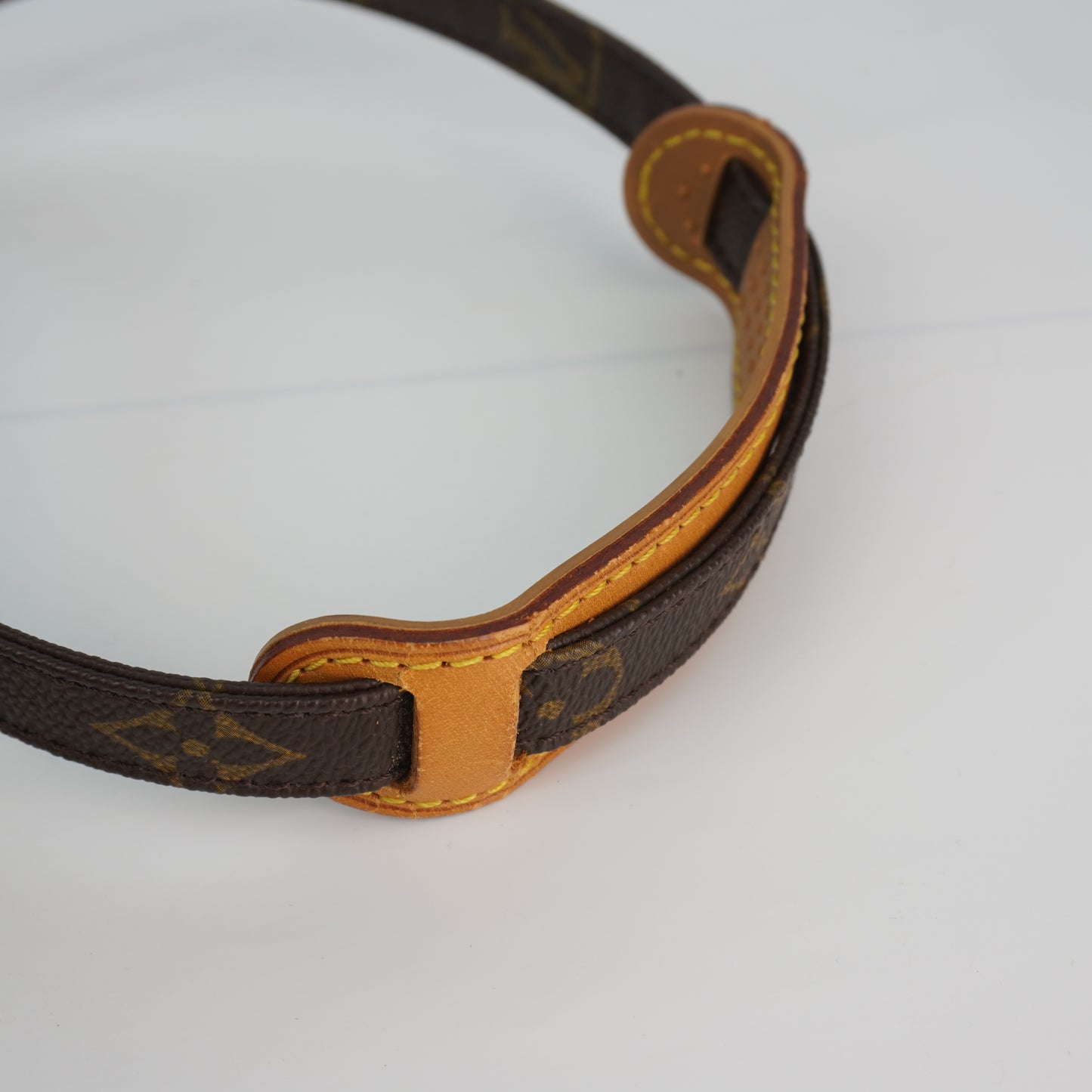 Louis Vuitton	Amazon Shoulder Bag