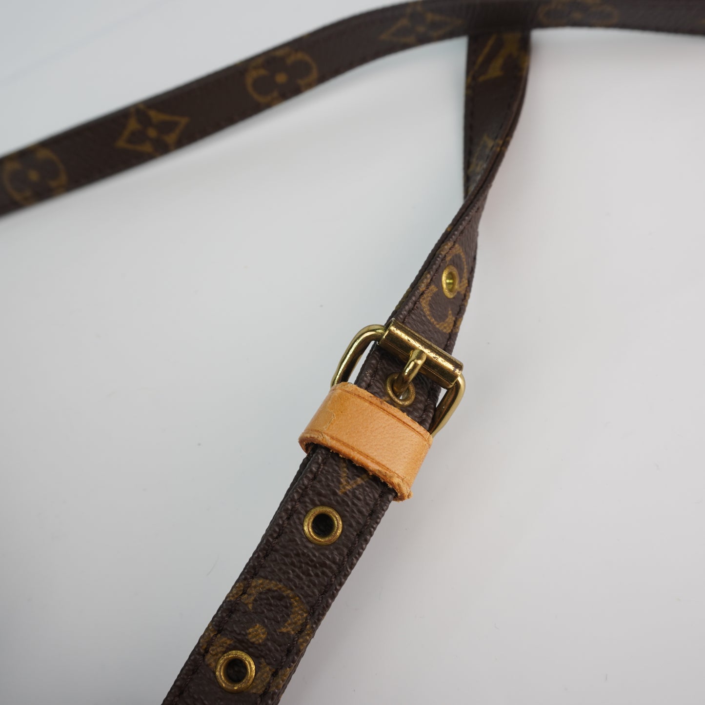 Louis Vuitton	Amazon Shoulder Bag