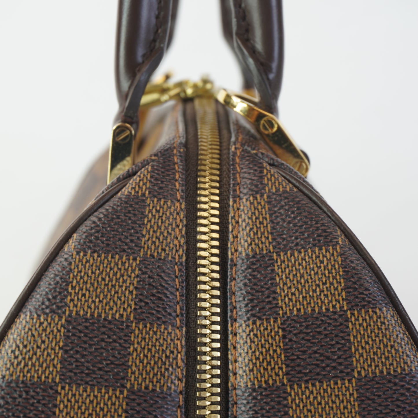 Louis Vuitton	Ribera Mini DE