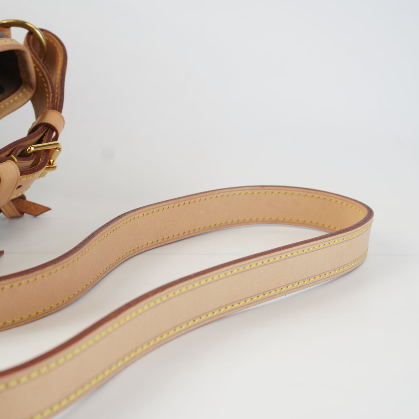 Louis Vuitton	Petit Noe BB Mono
