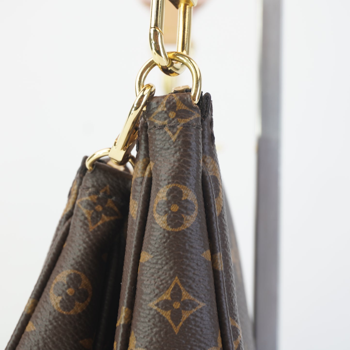 Louis Vuitton	Multi Pochette Accessories